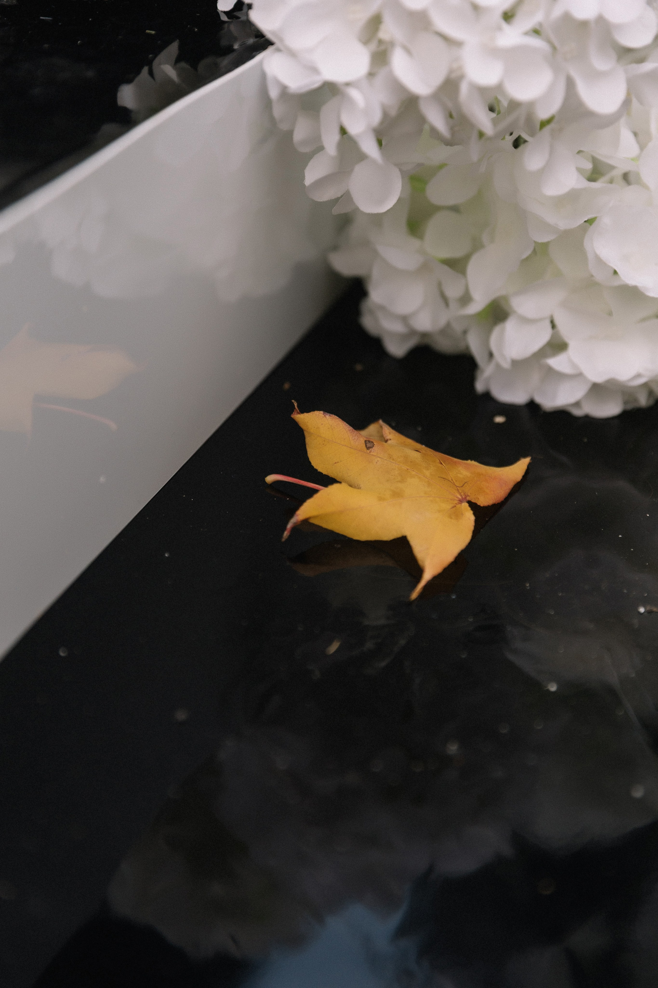 Эдуард и Алина. Свадебный фотограф в Краснодаре Булатова Наталия