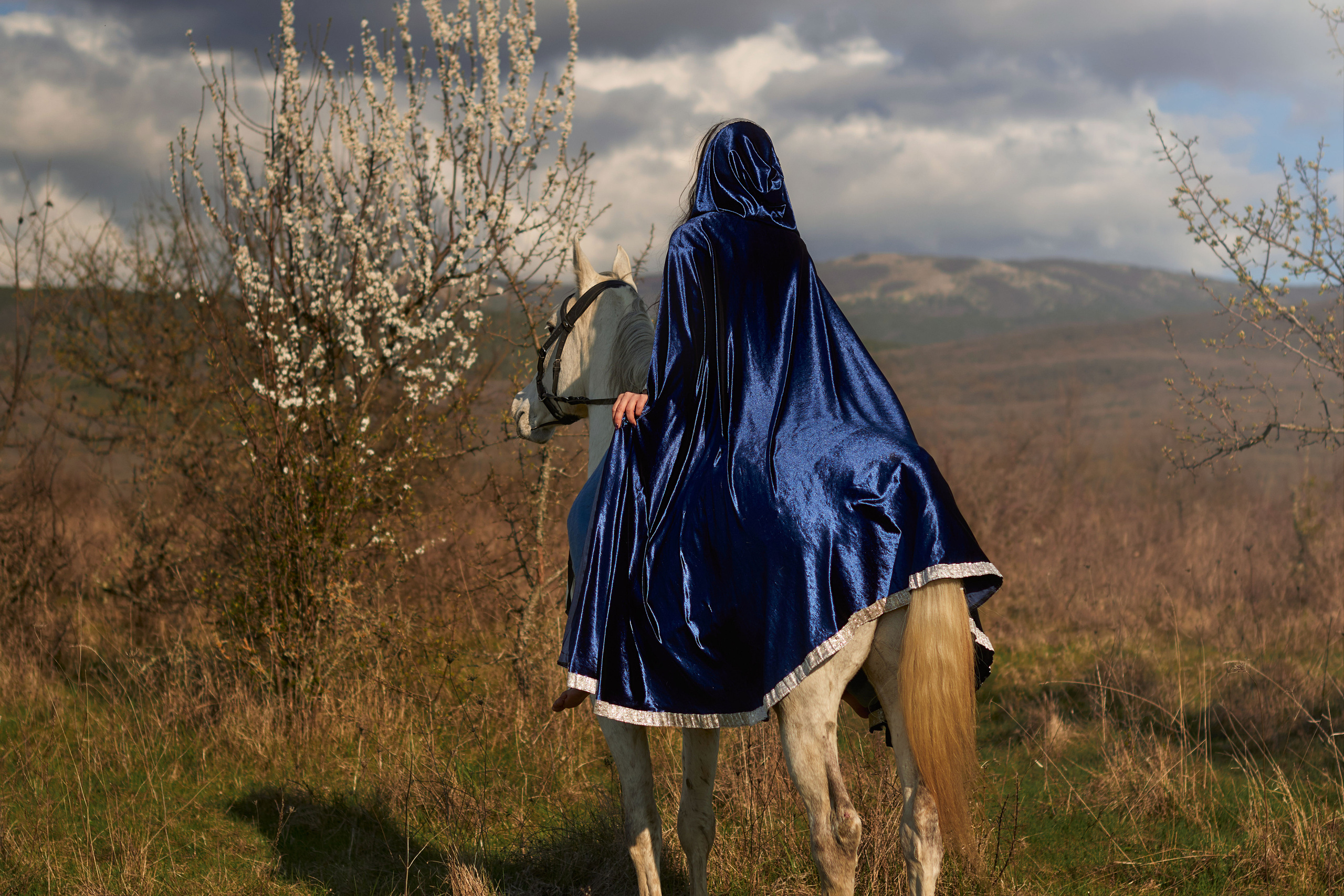 Фотосессия с лошадью. Фотограф в Севастополе