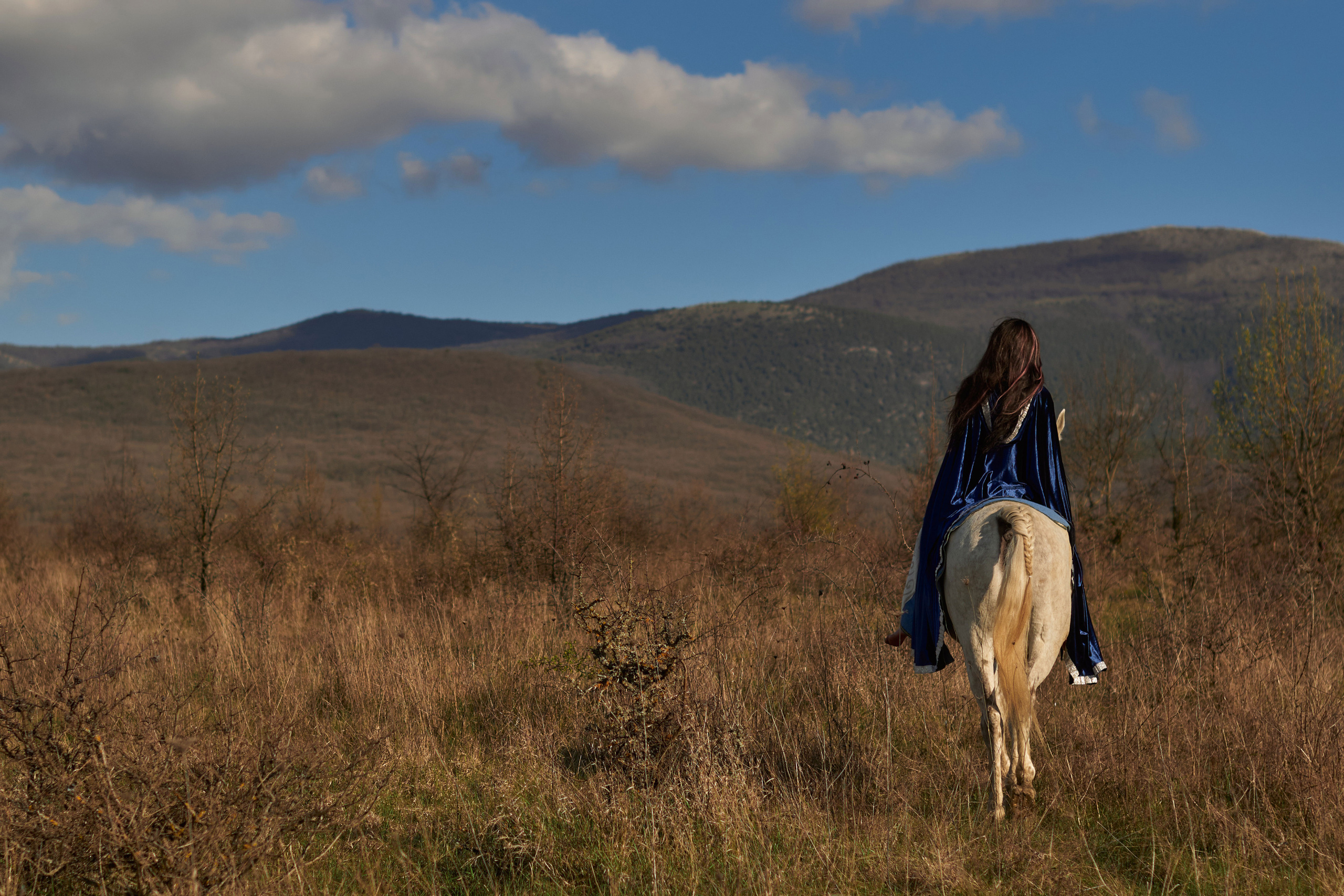 Фотосессия с лошадью. Фотограф в Севастополе