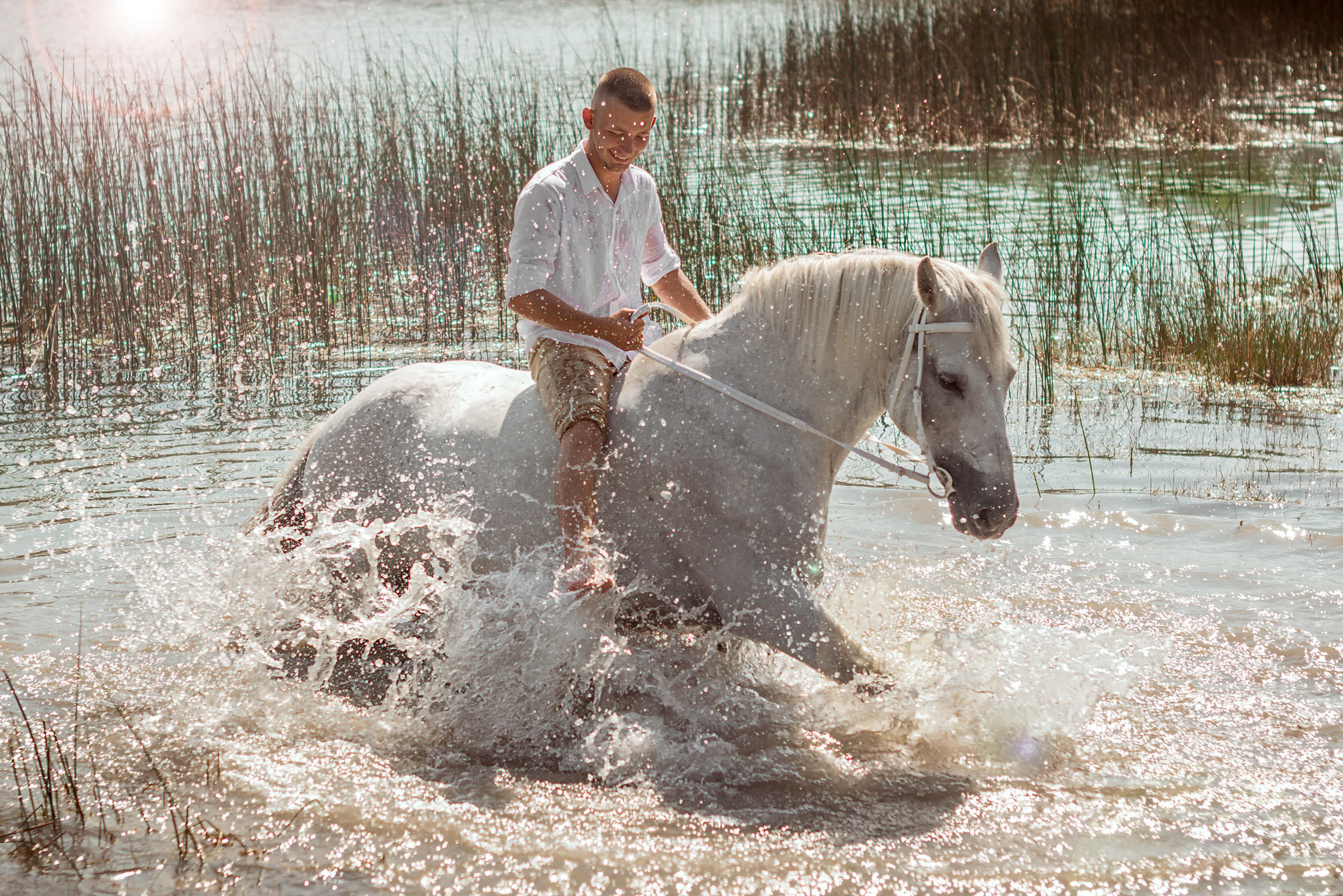 Свадебный фотограф Севастополь. Фотограф в Севастополе