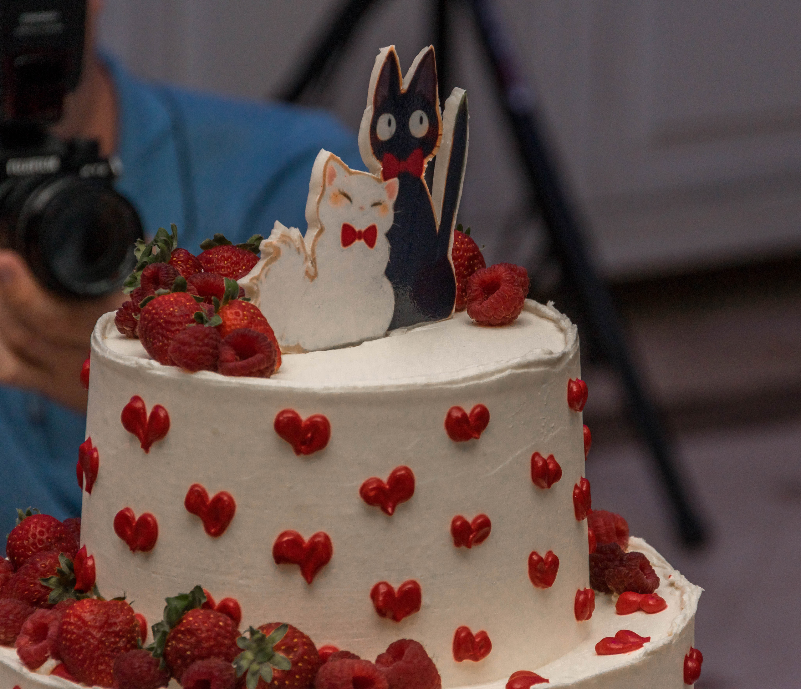 Свадебный фотограф Севастополь. Фотограф в Севастополе