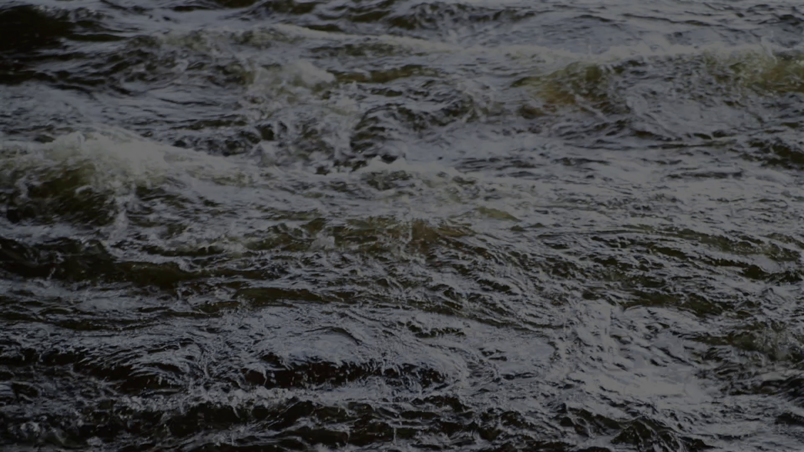 Видео. Фотограф Санкт-Петербург Макарова Дарья