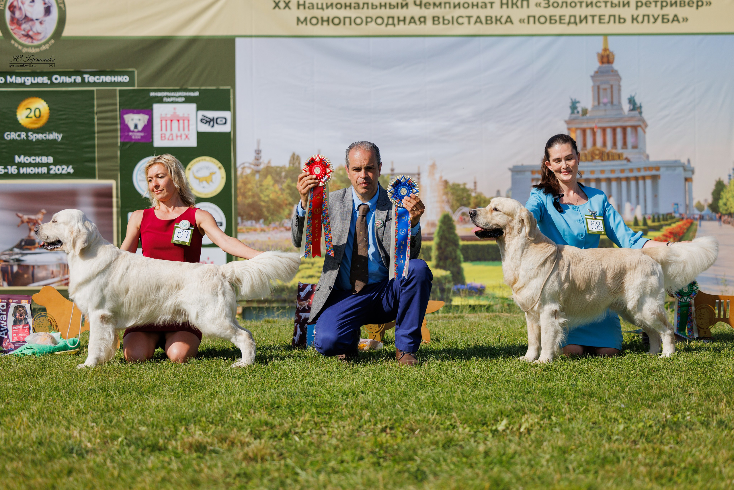 Голдены 15-16.06.2024. Фотограф-анималист Юлия Германика