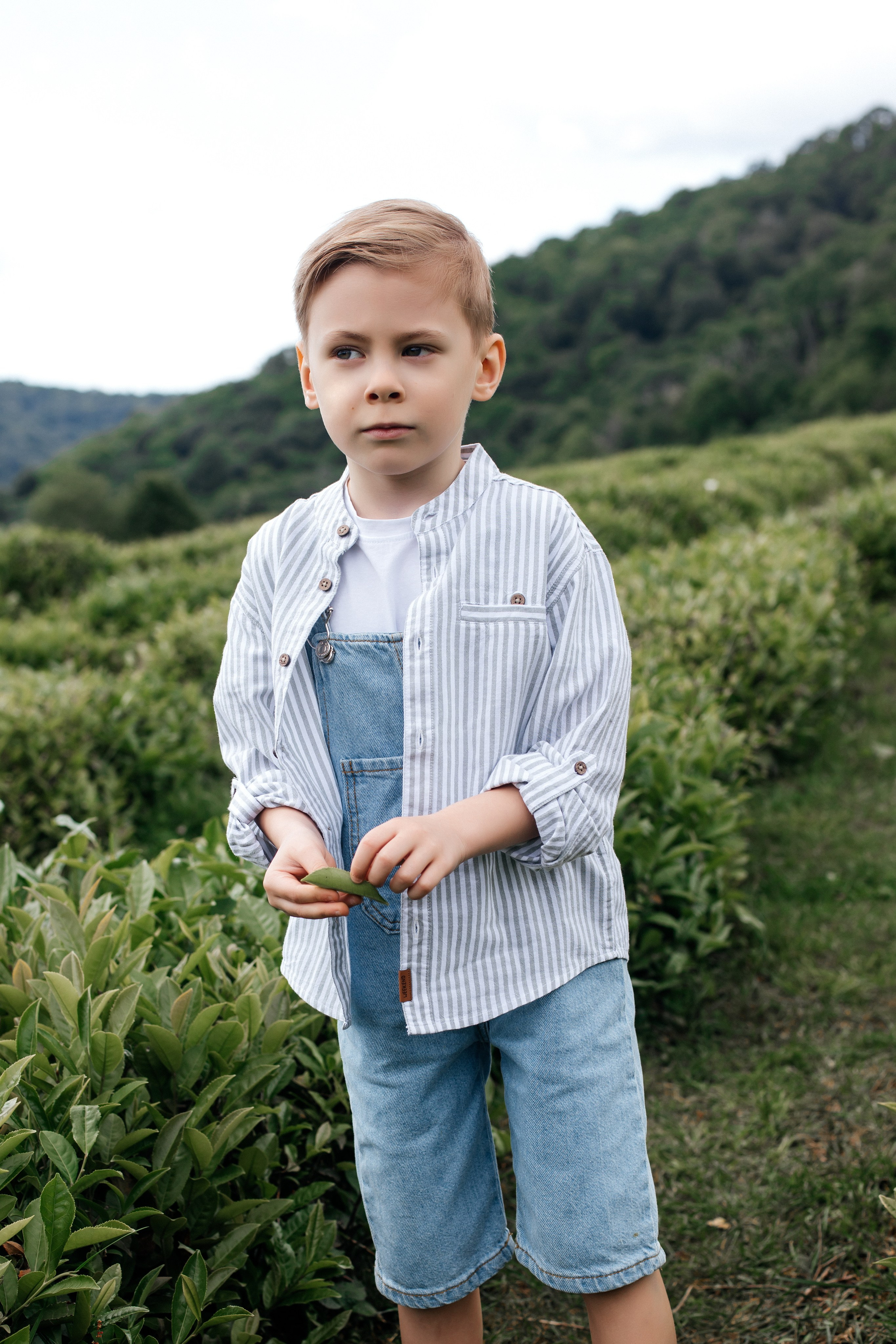 Tea plantation. Efimova Model Agency