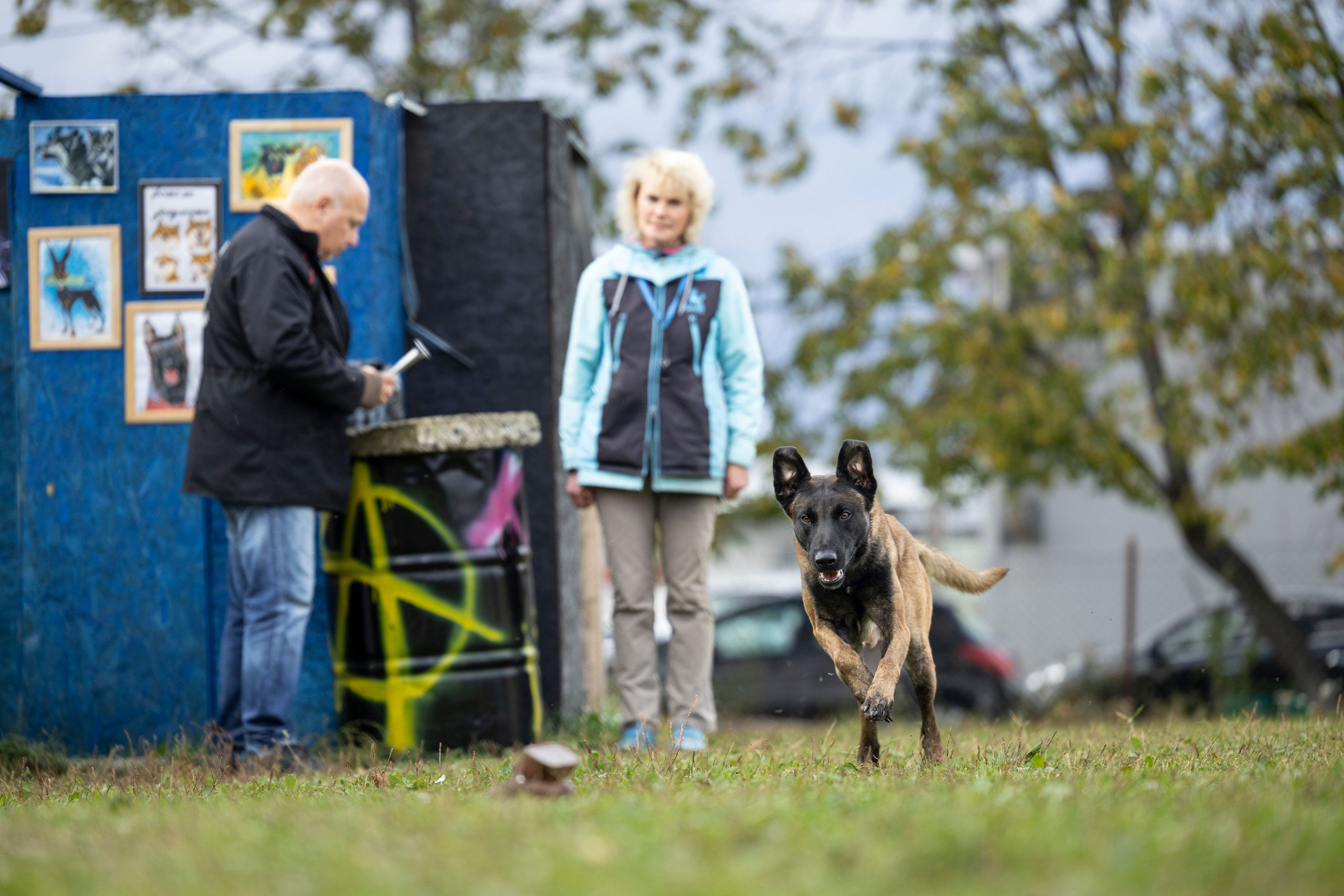 Испытания по Мондьорингу г. Пушкин. Фотограф-анималист Анна Маринич