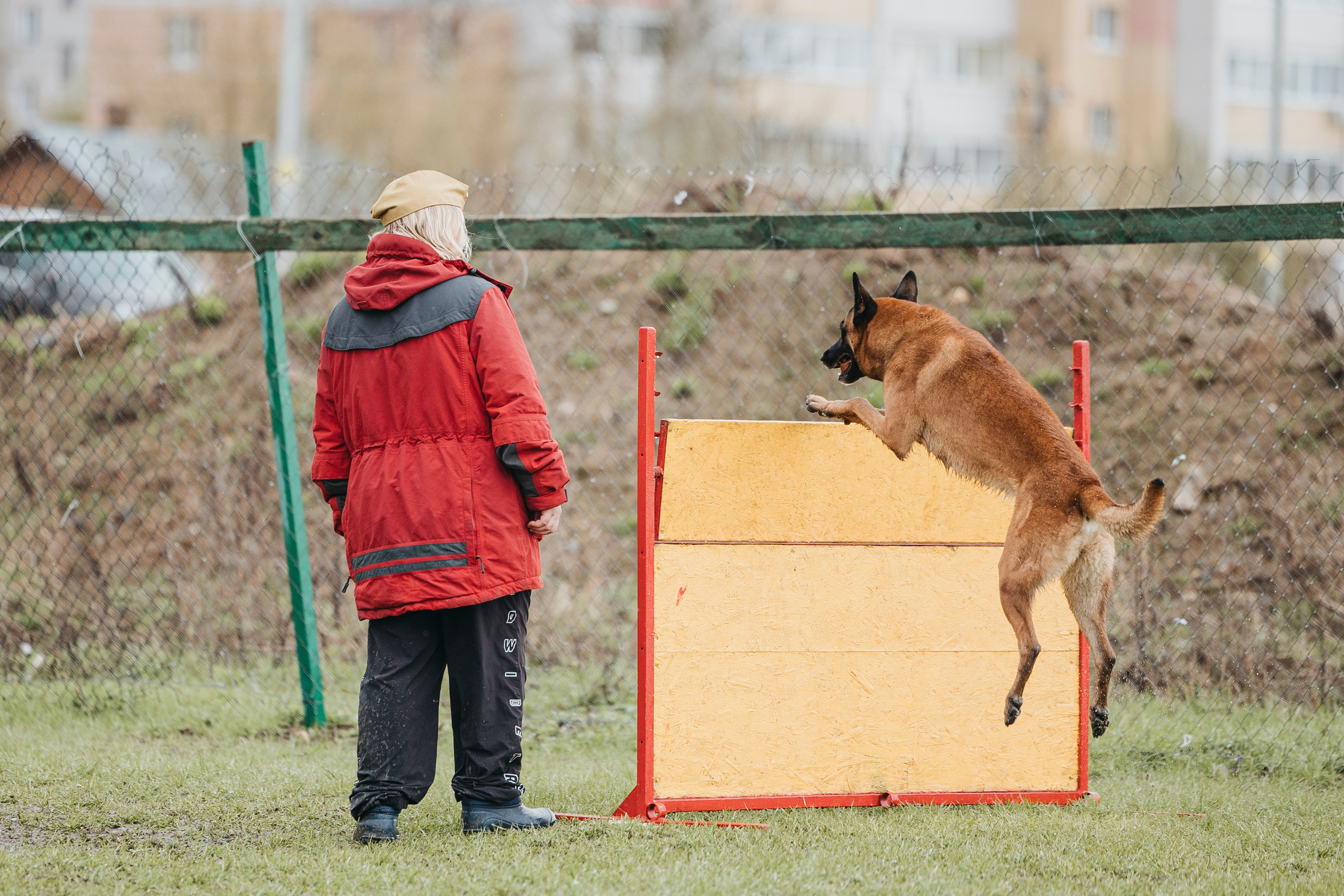 09.05.25 Вологда соревнования. Фотограф-анималист Анна Маринич