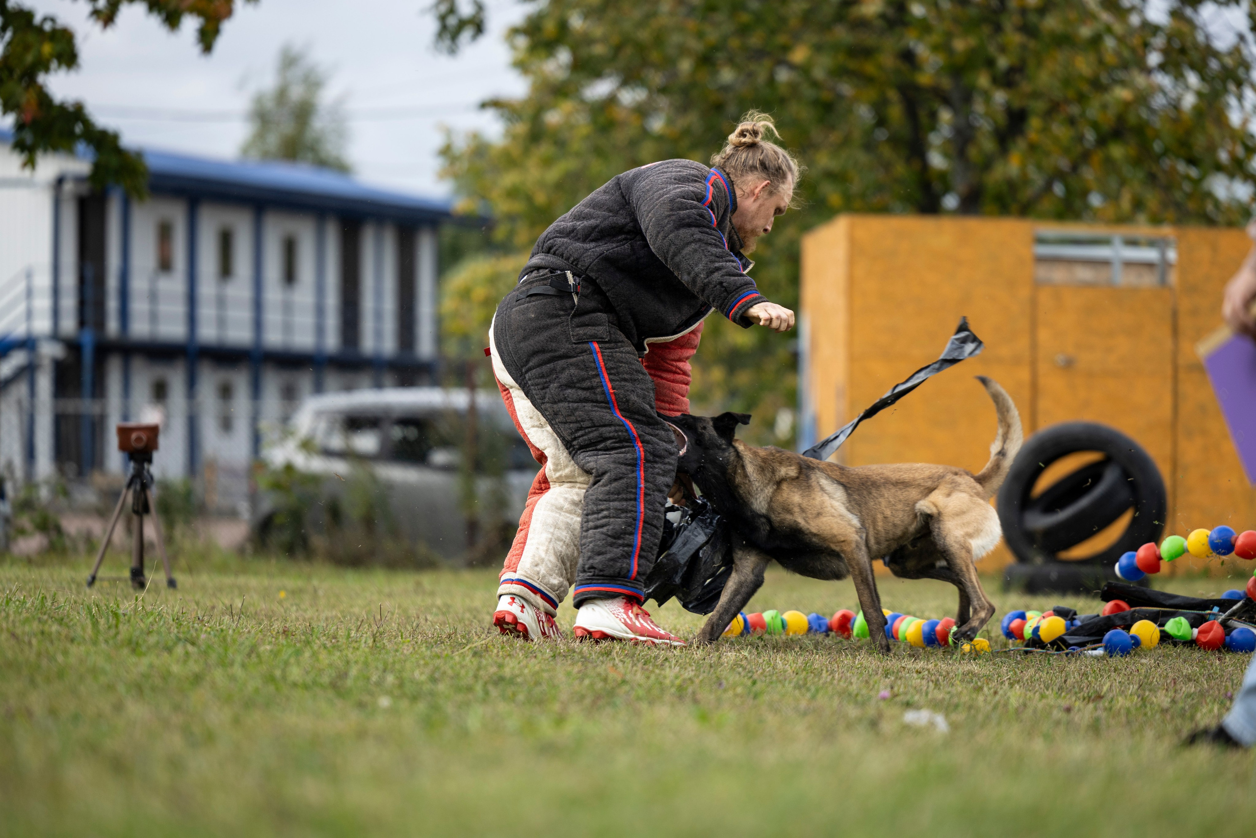 Испытания по Мондьорингу г. Пушкин. Фотограф-анималист Анна Маринич