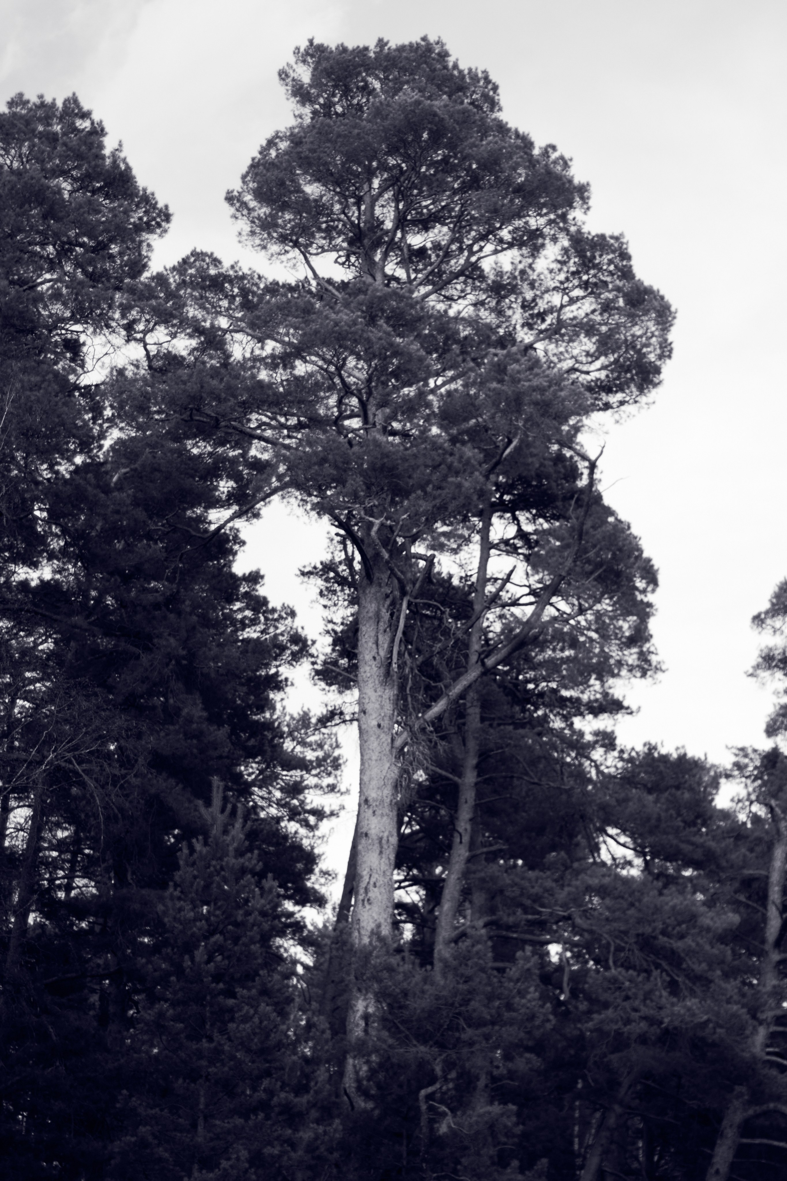  Фотограф: Ожерельев Лев