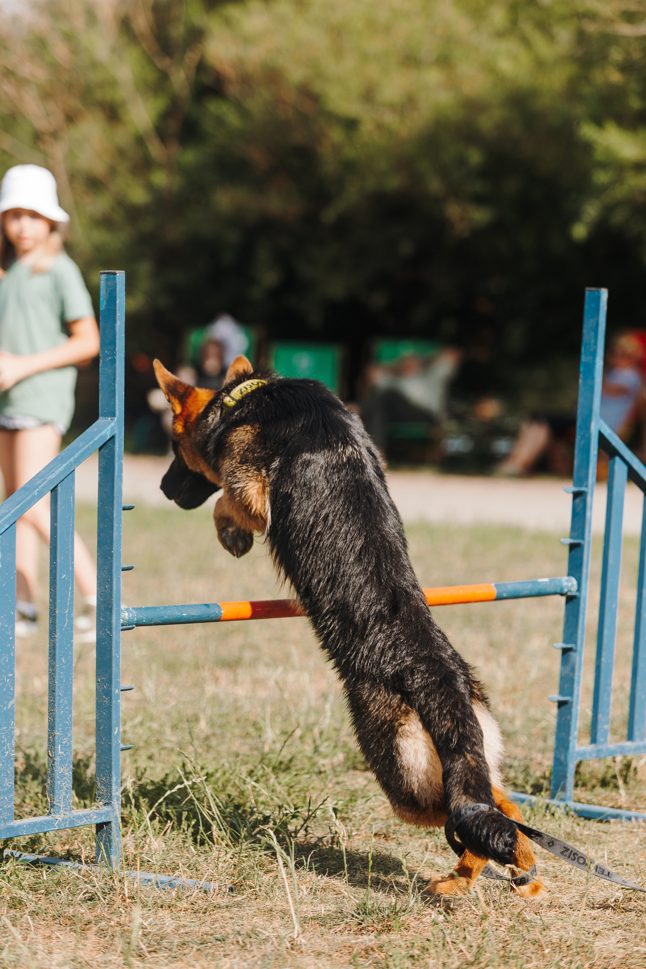 Petshop Sup day. Фотограф анималист Кристина Карпова, Москва