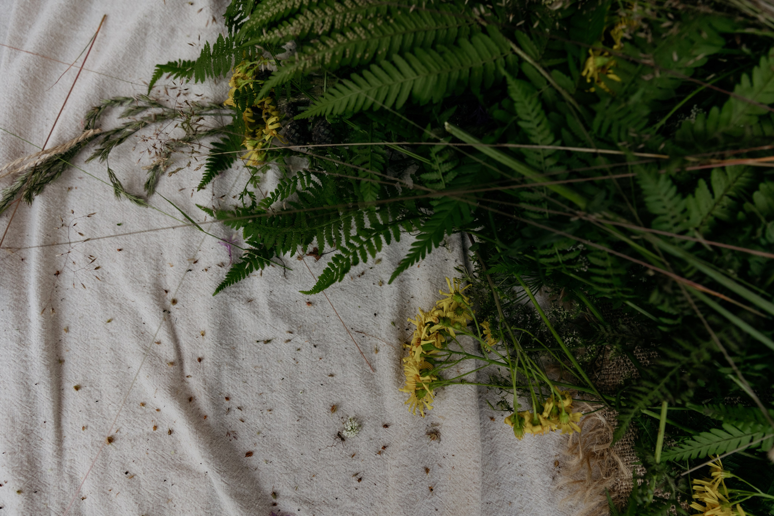 «Суженый, ряженый, приди ко мне наряженный». Свадебный и репортажный фотограф в Санкт-Петербурге