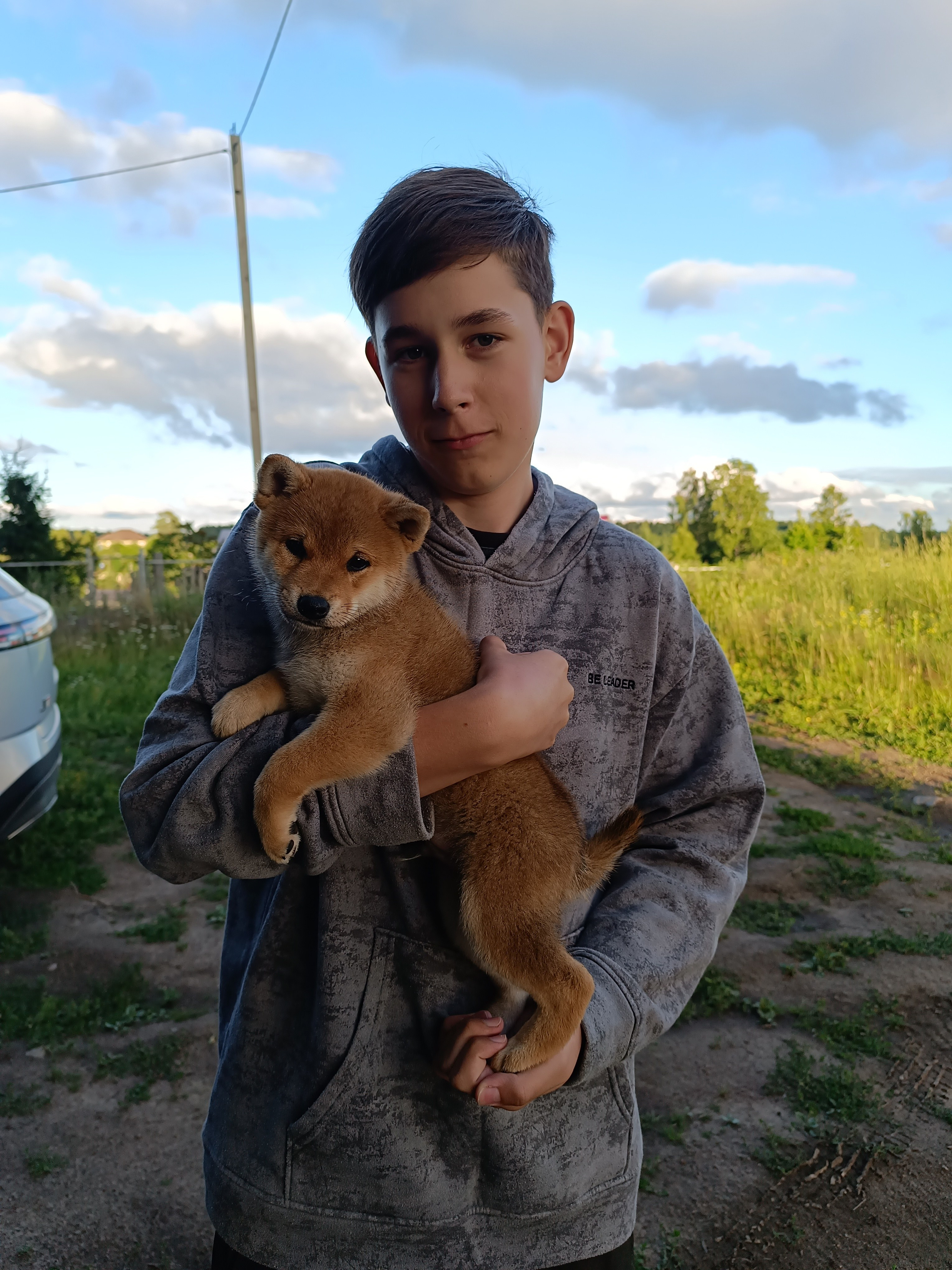 Сиба Rubylight Germes питомник Рубилайт