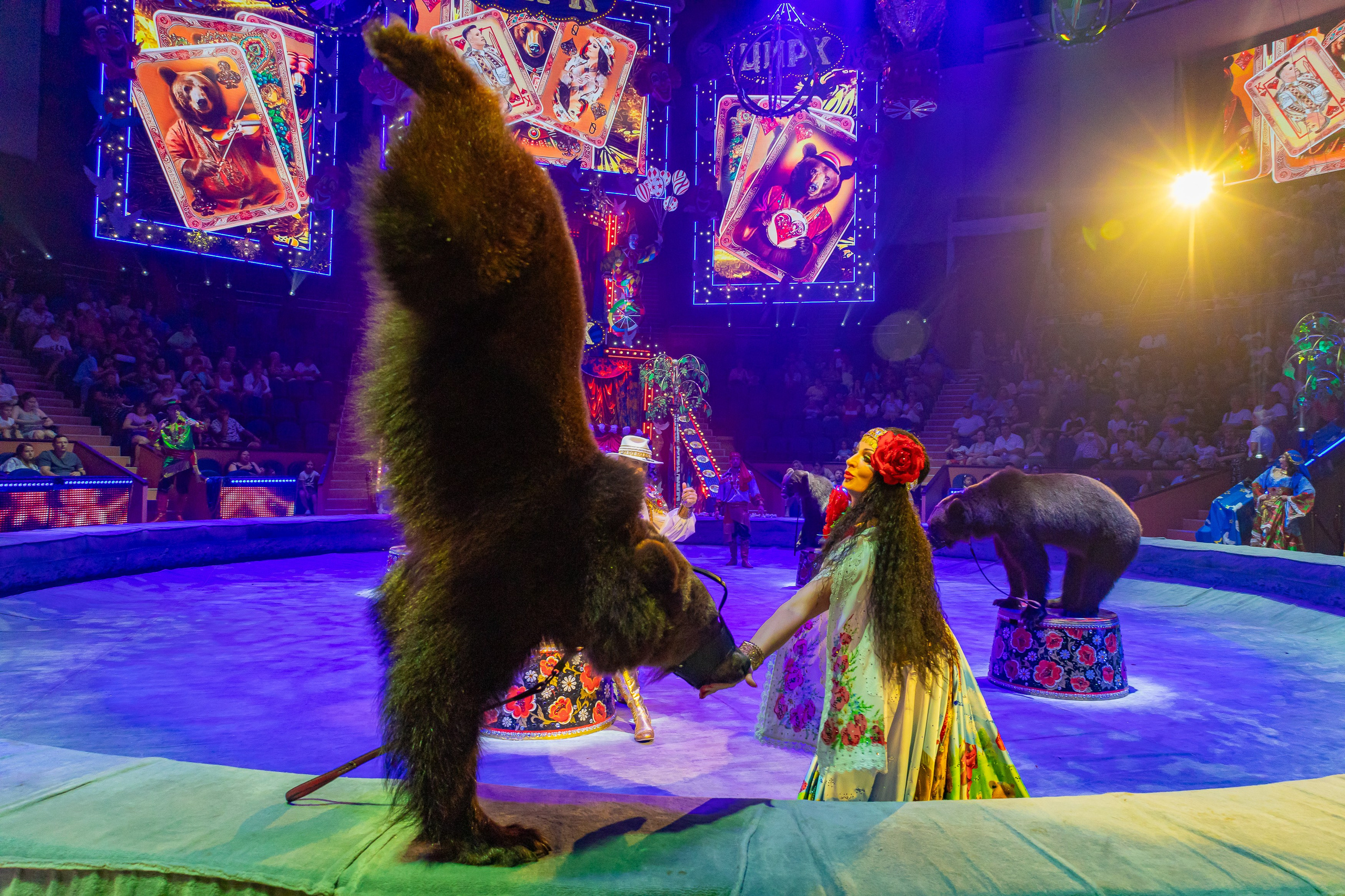 Цирк ГИИ ЭРАДЗЕ. Семейный и Свадебный фотограф в Сочи