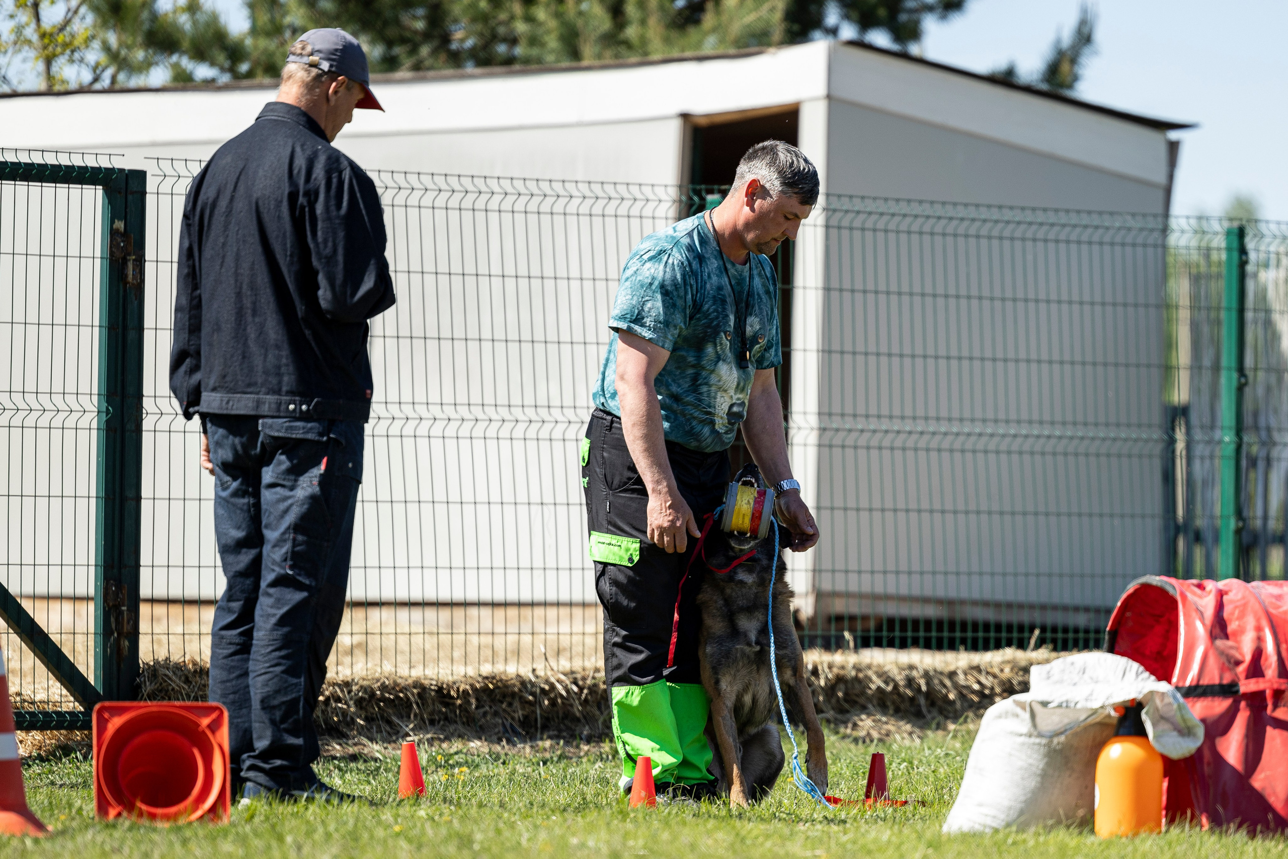 Испытания по мондьорингу в Нижнем Новгороде. Фотограф-анималист Анна Маринич