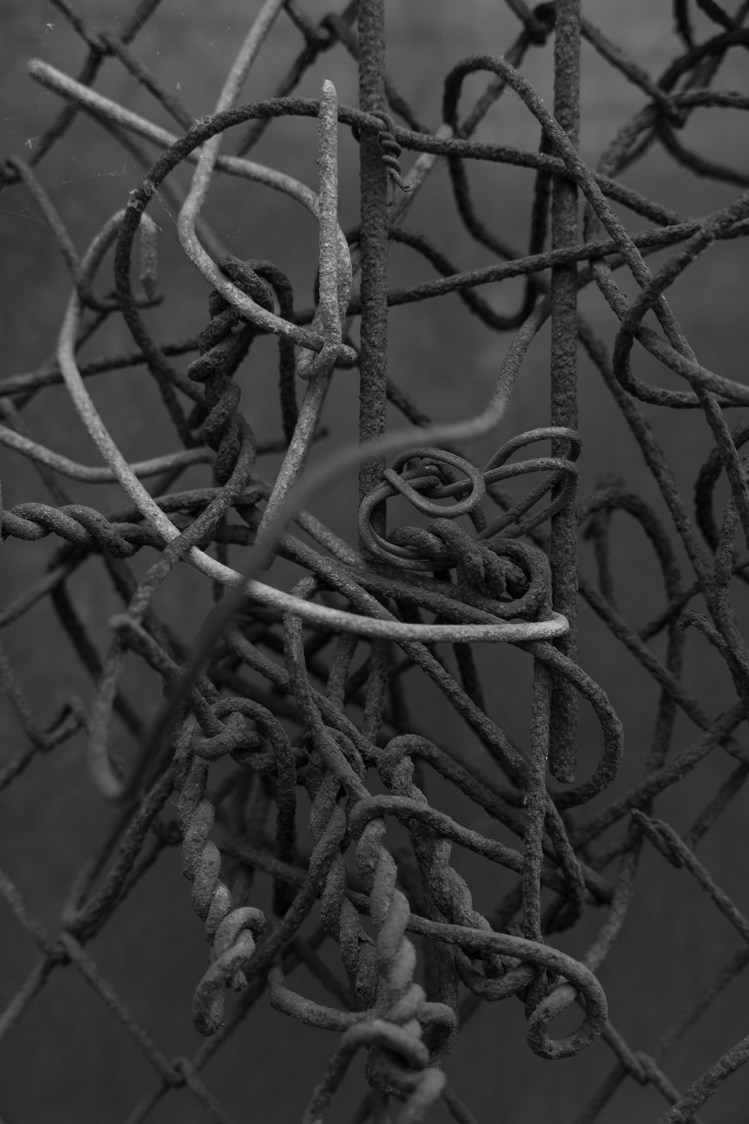 Art prints. Фотограф алина стерхова, алина стерхова фотограф, фотограф москва