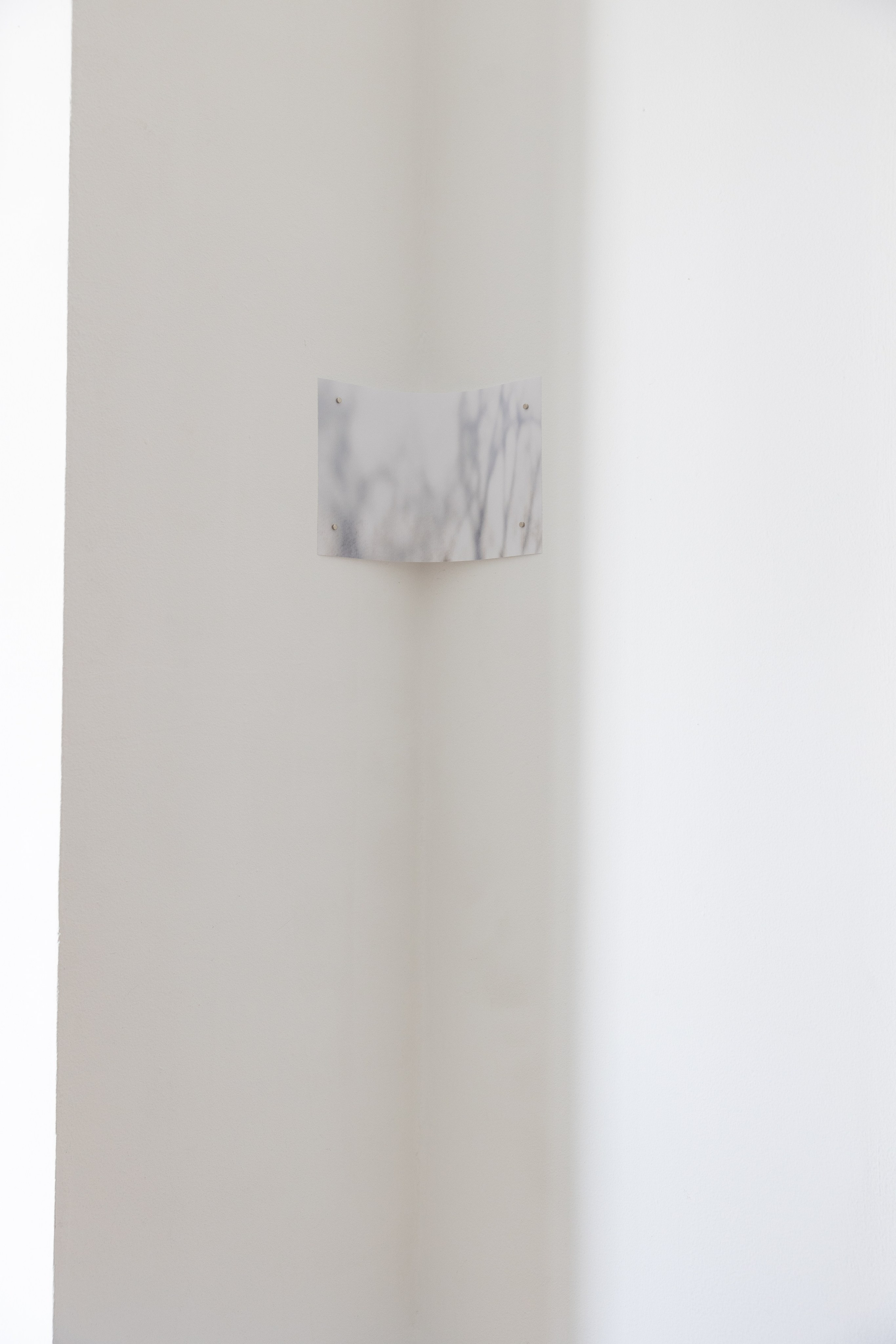 Personal exhibition Interior landscape 2025. Фотограф алина стерхова, алина стерхова фотограф, фотограф москва