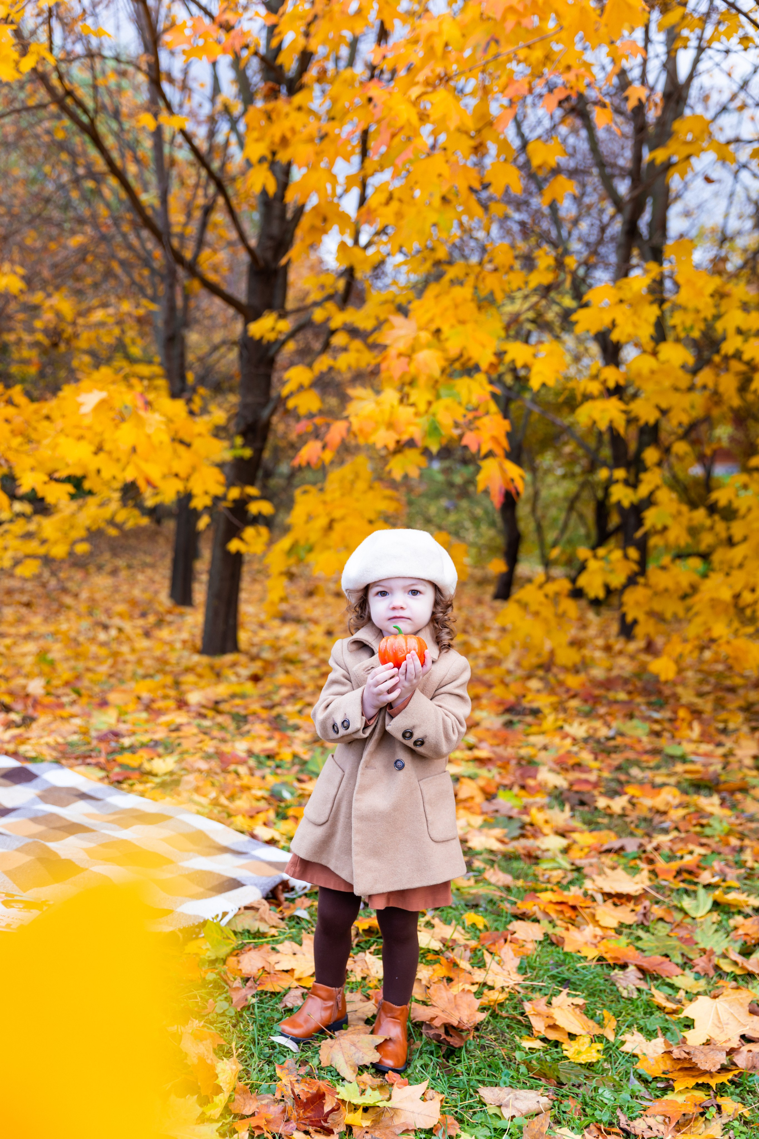 Осень в парке. Фотограф и Видеограф в Москве Дарья Арсентьева