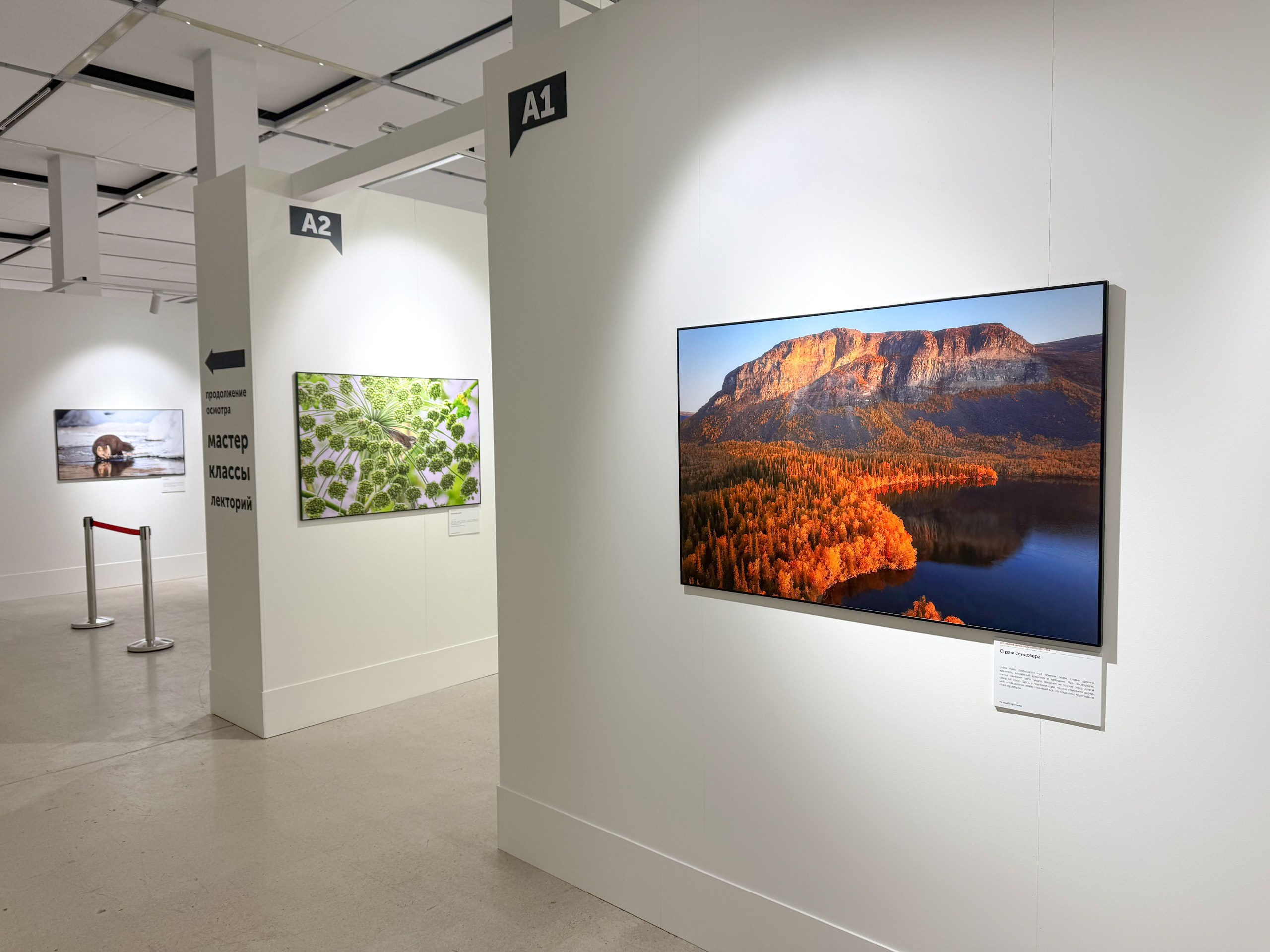 Награды. Andrew Gusarov Nature Photography