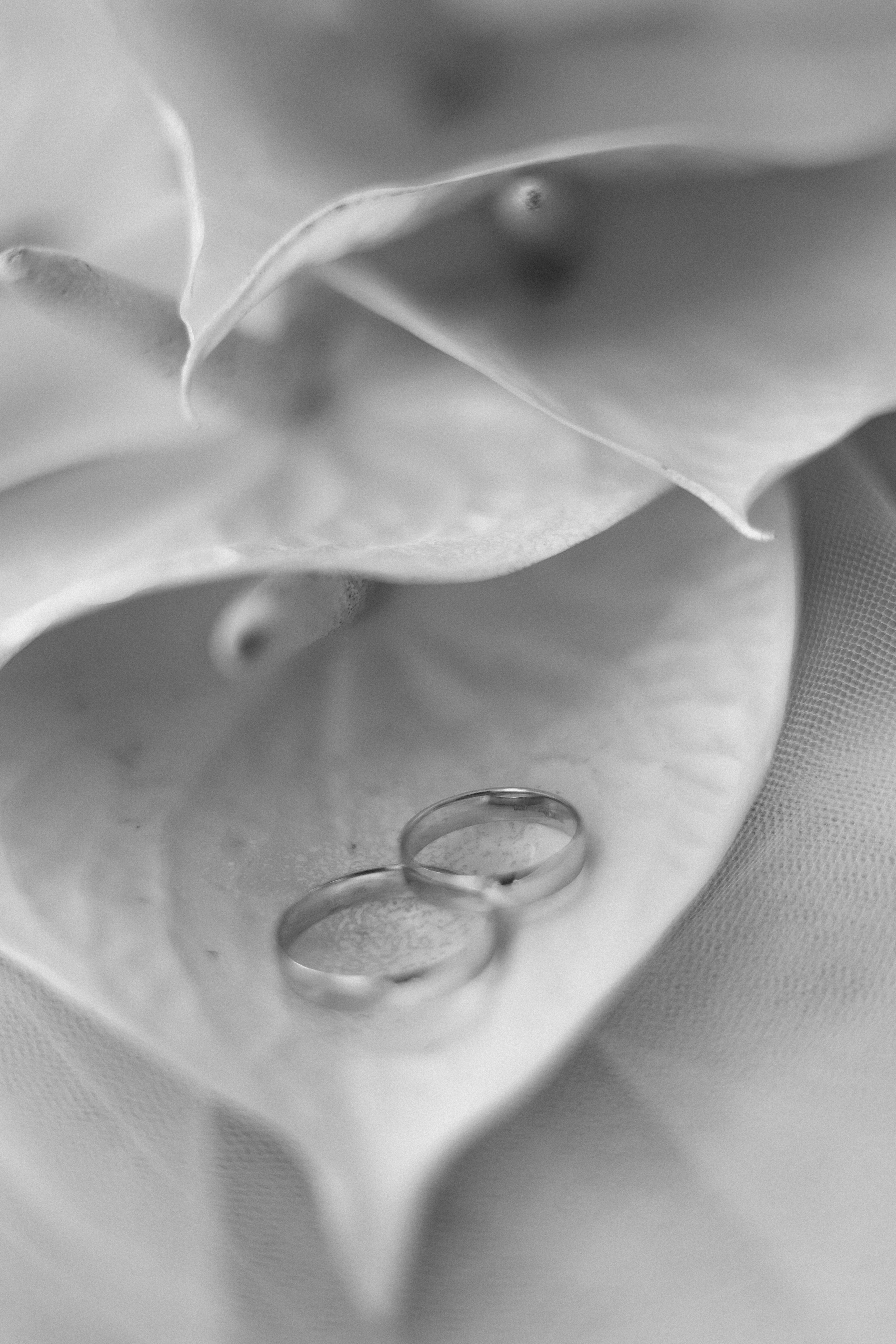 Wedding. Главная