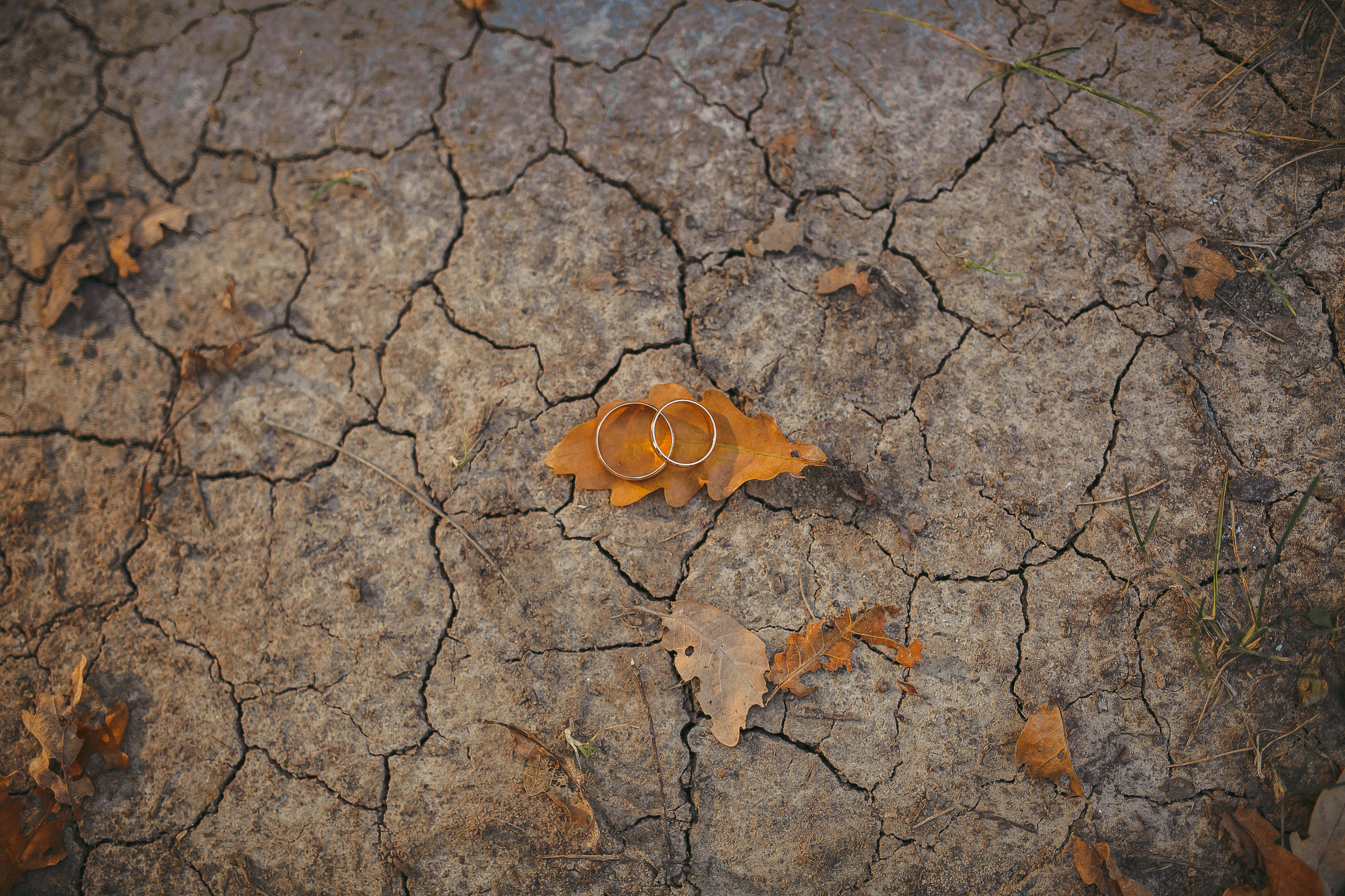 Свадебный, семейный фотограф в Дзержинске, Нижнем Новгороде Наталья Хр