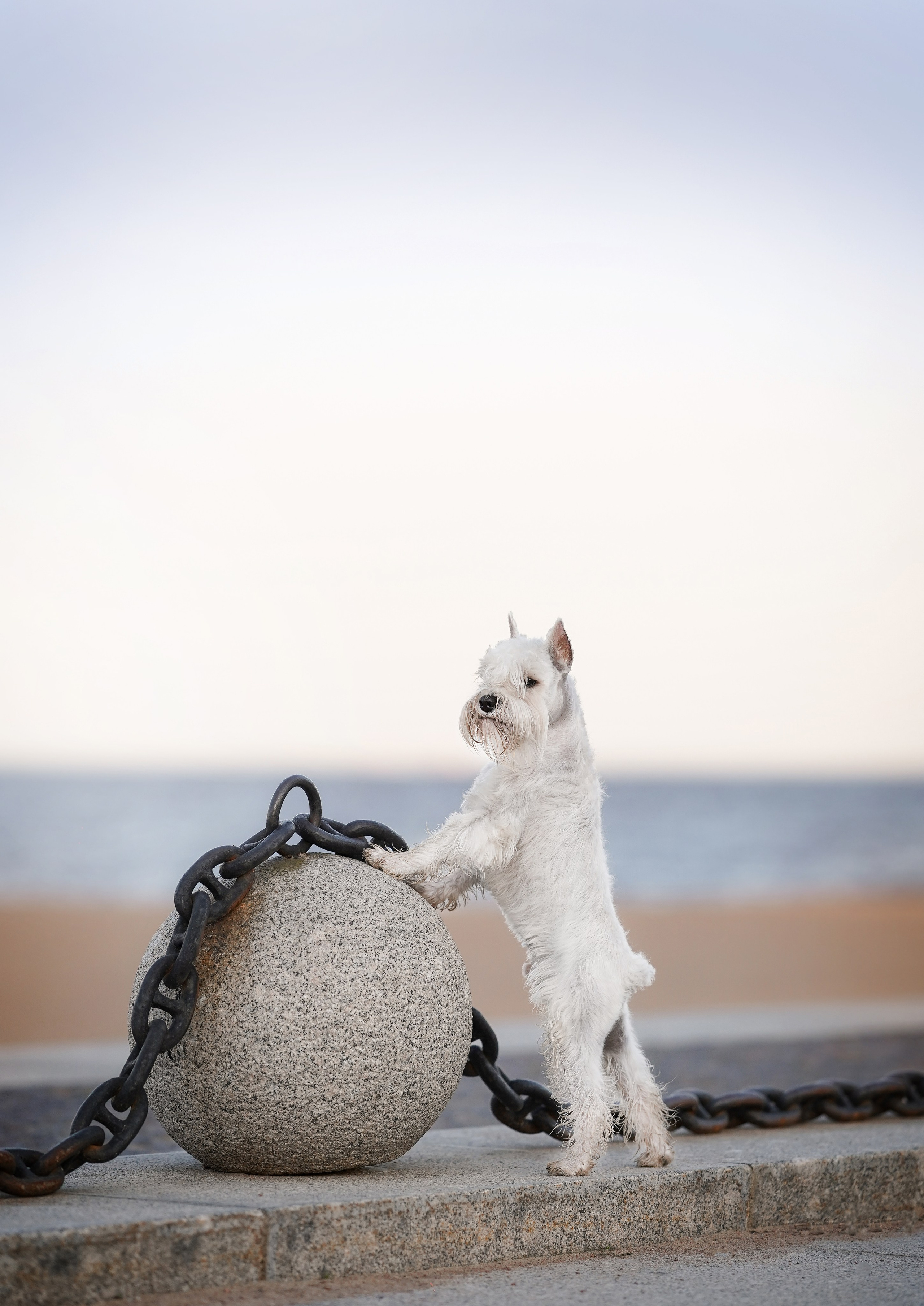 Оля и Доминик. Фотограф-анималист в Санкт-Петербурге Яна Мартынова