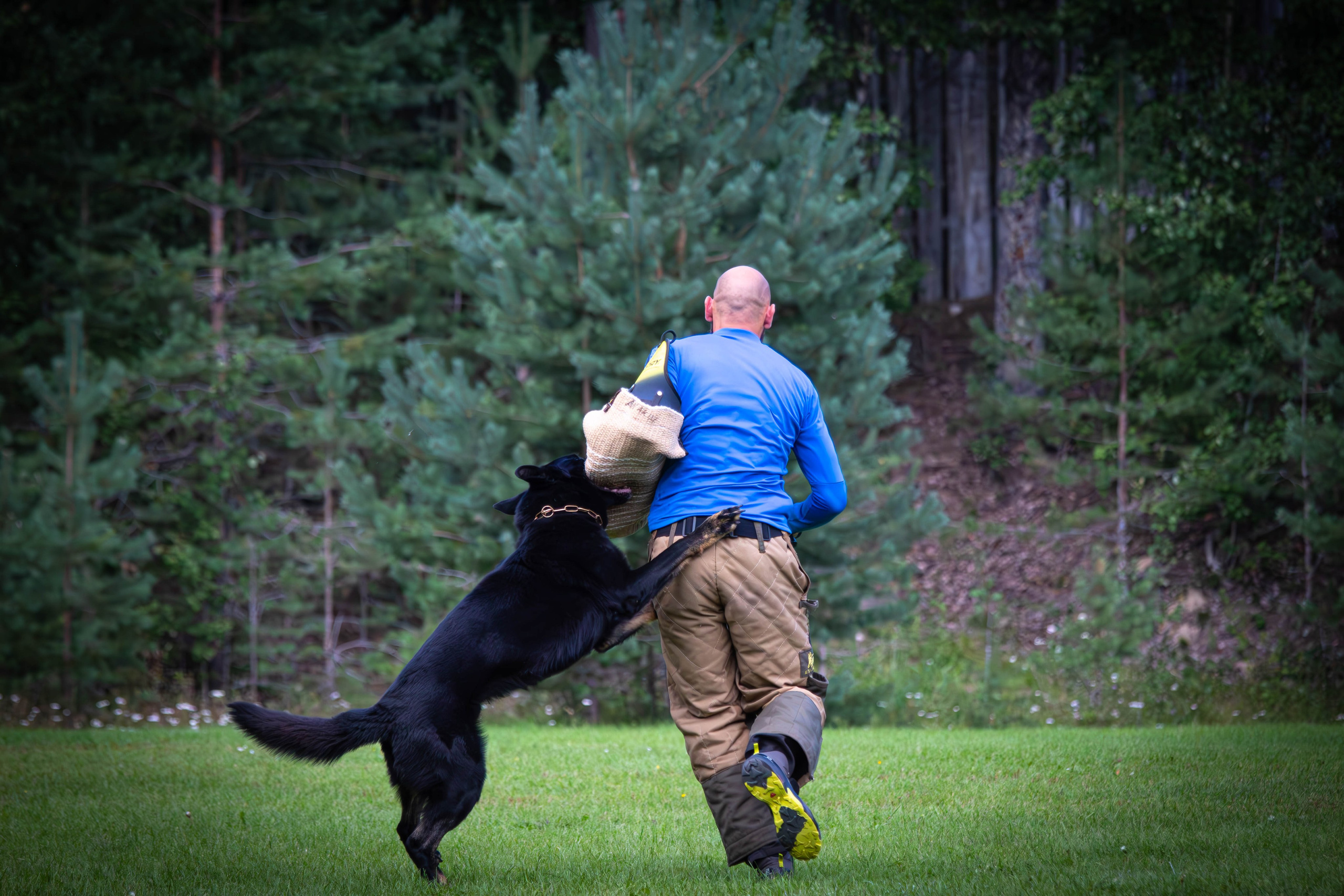 Фотограф анималист репортаж. Фотограф анималист — Тула, Москва