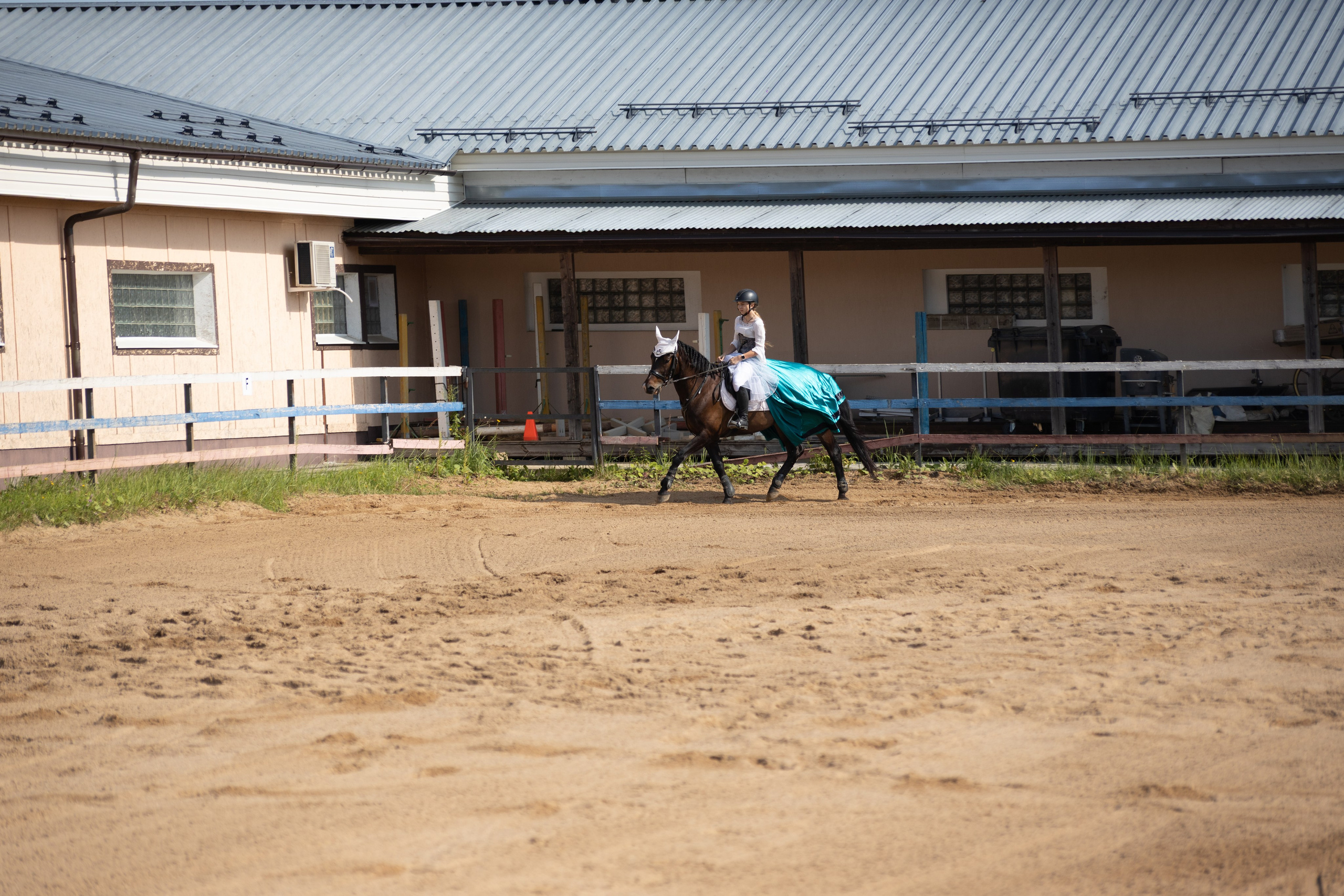 Конюшня. Фотограф в Москве и Истре