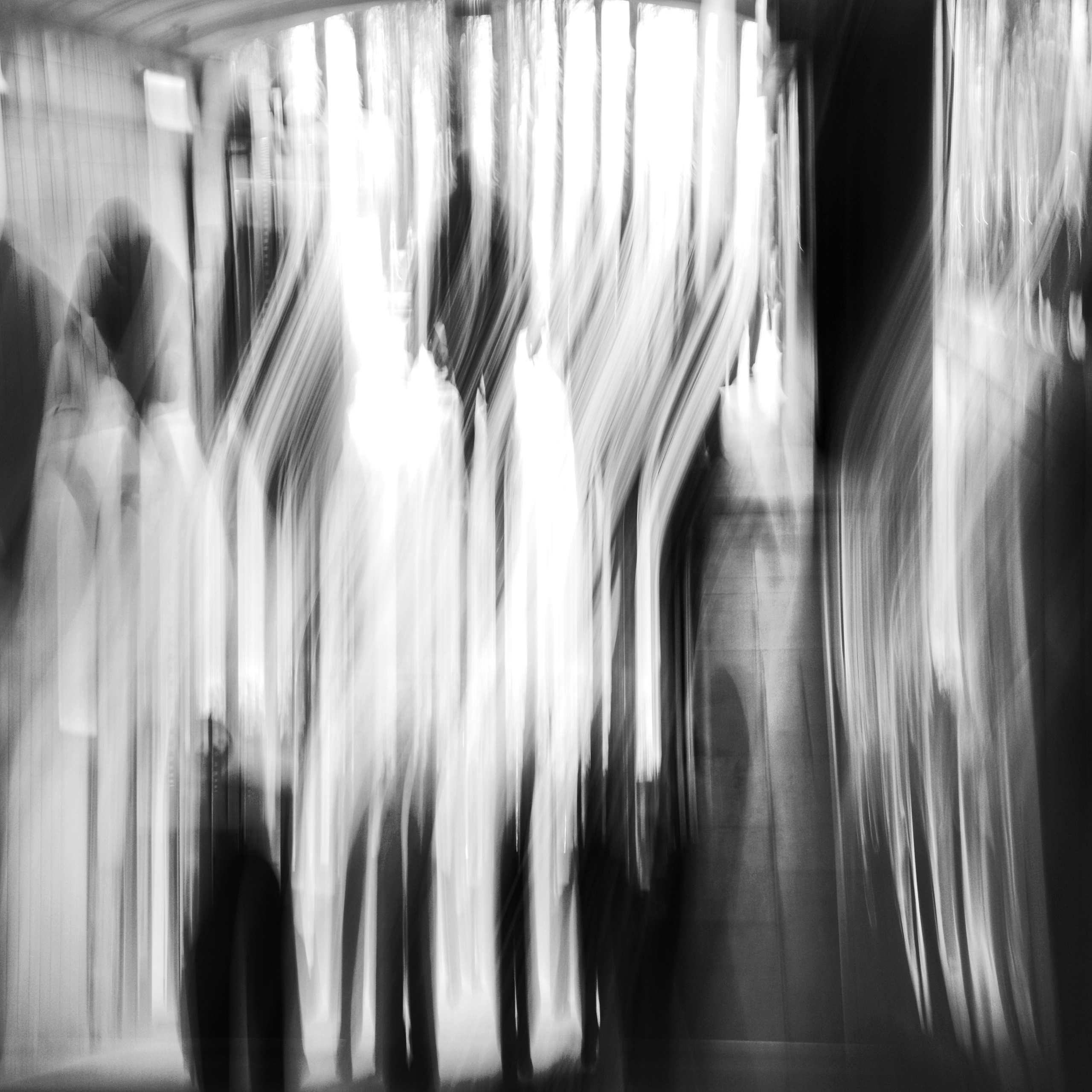 Primavera. Metagraphy