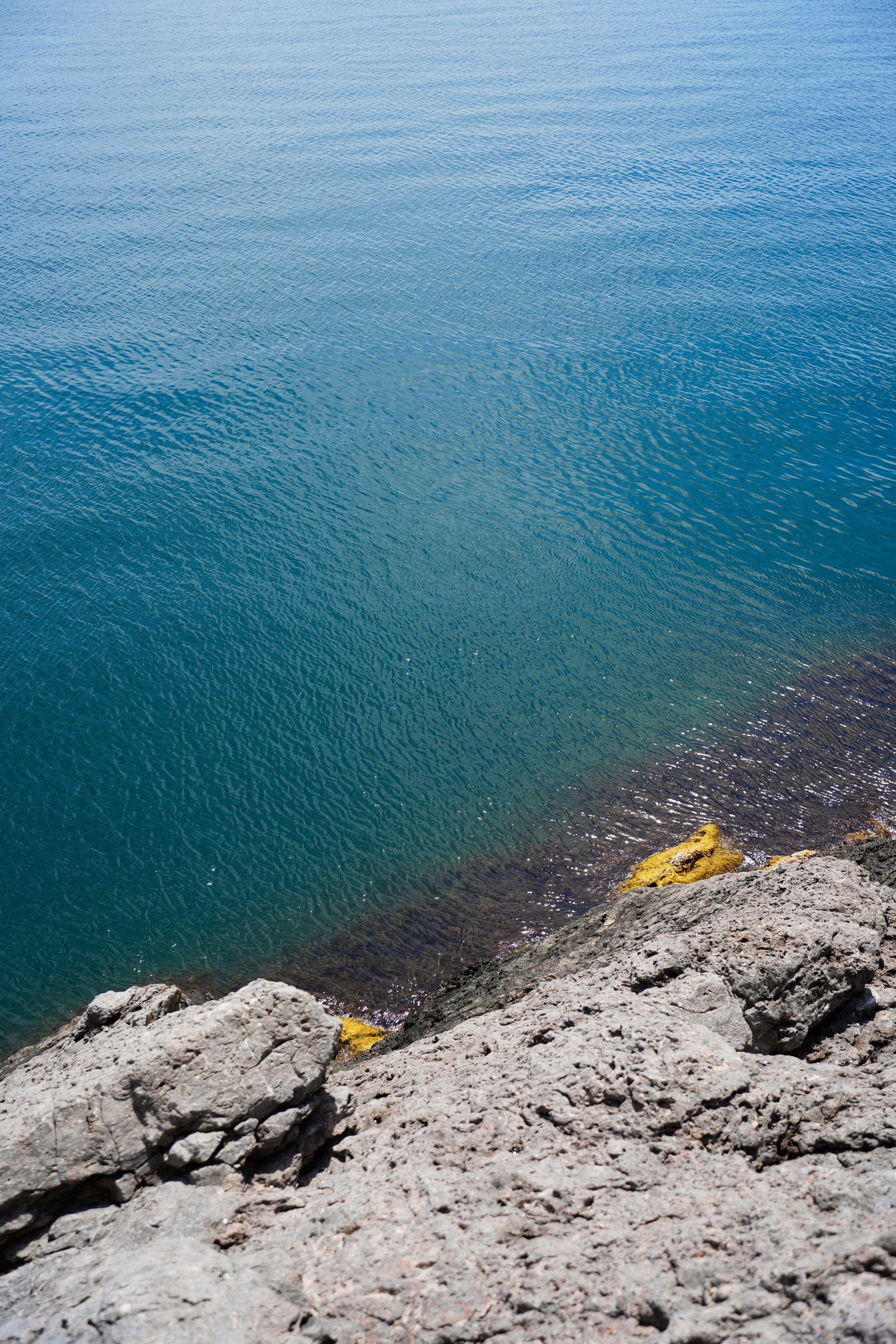 Крым. Анна Жукова — Режиссёр кино и цирка, сценарист, фотограф