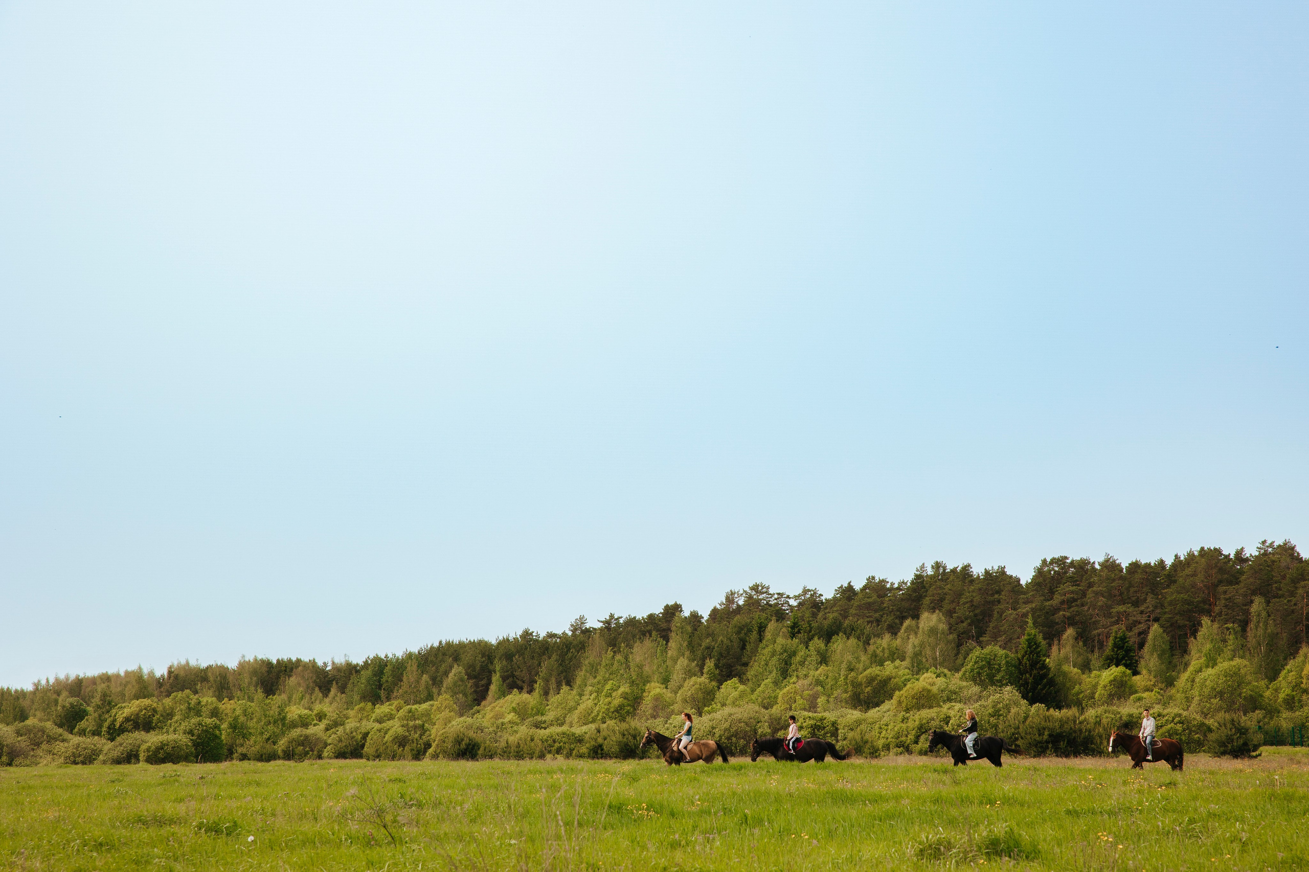 Съемка с собакой. Анастасия Белаш