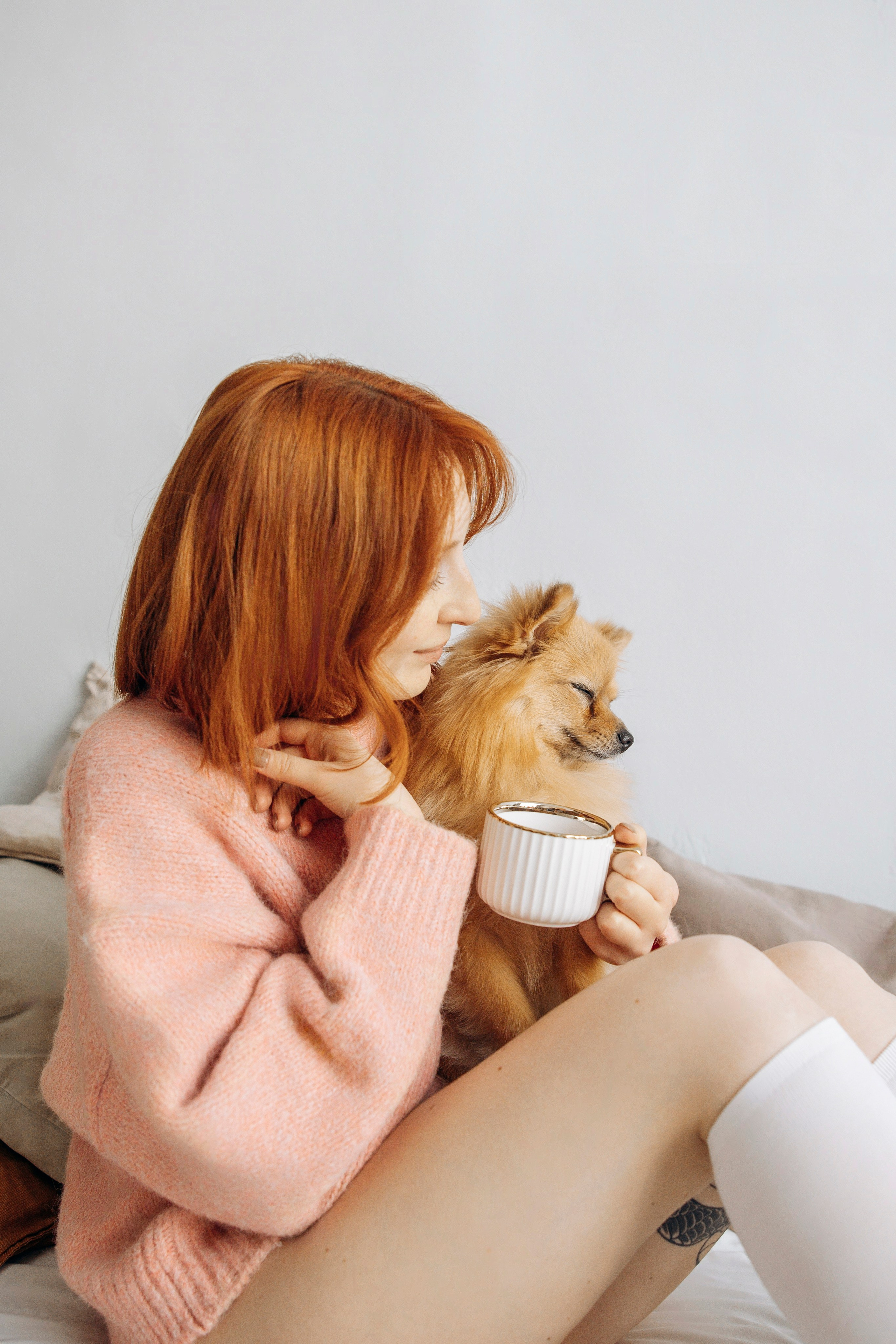 Съемка в студии с собакой. Анастасия Белаш