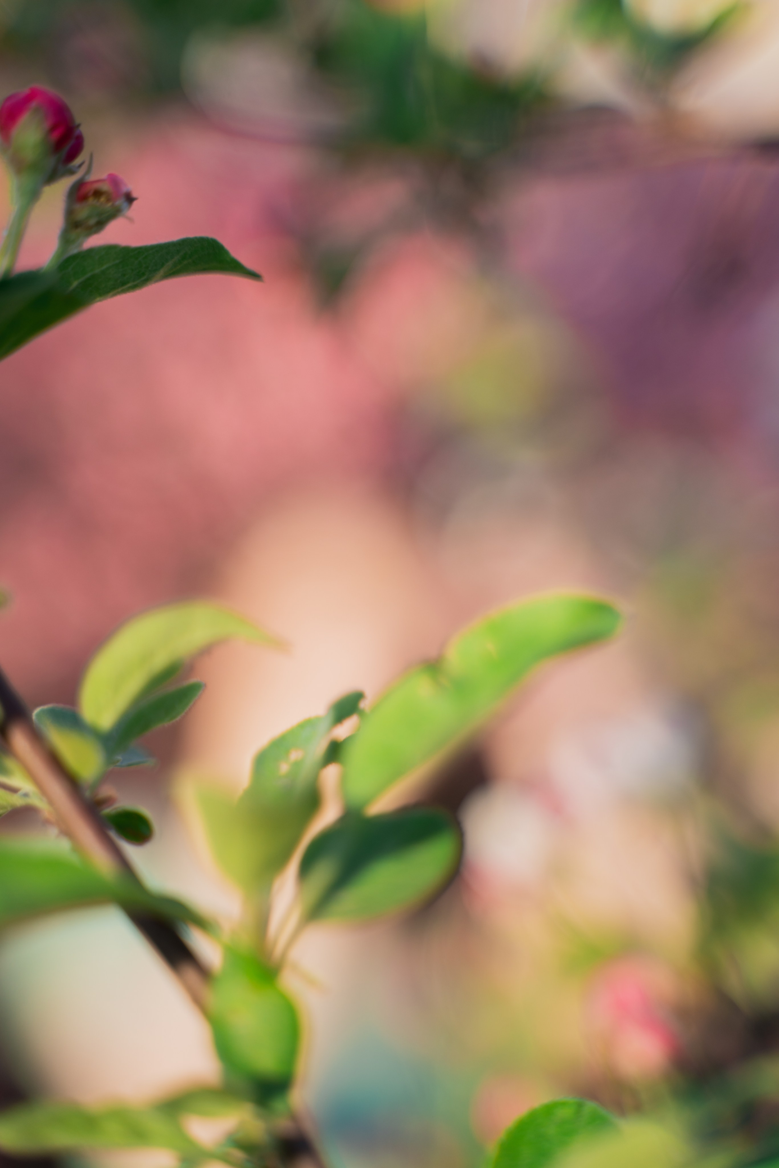 Настя весной. Елена Осадчая — фотографирую музыку на сцене и в жизни