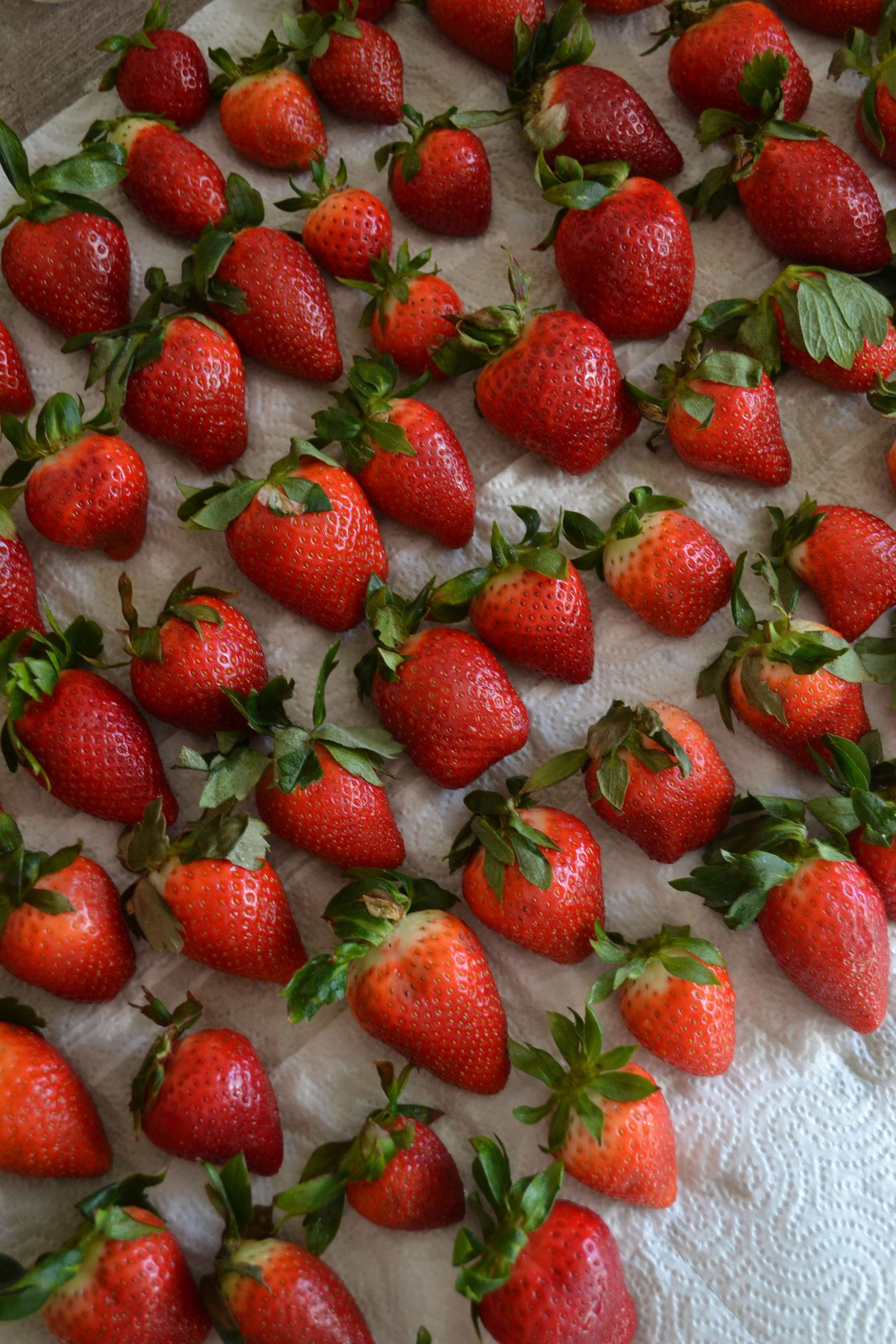 Клубника в шоколаде. Семейная кондитерская. Торты и десерты на заказ в Москве и области