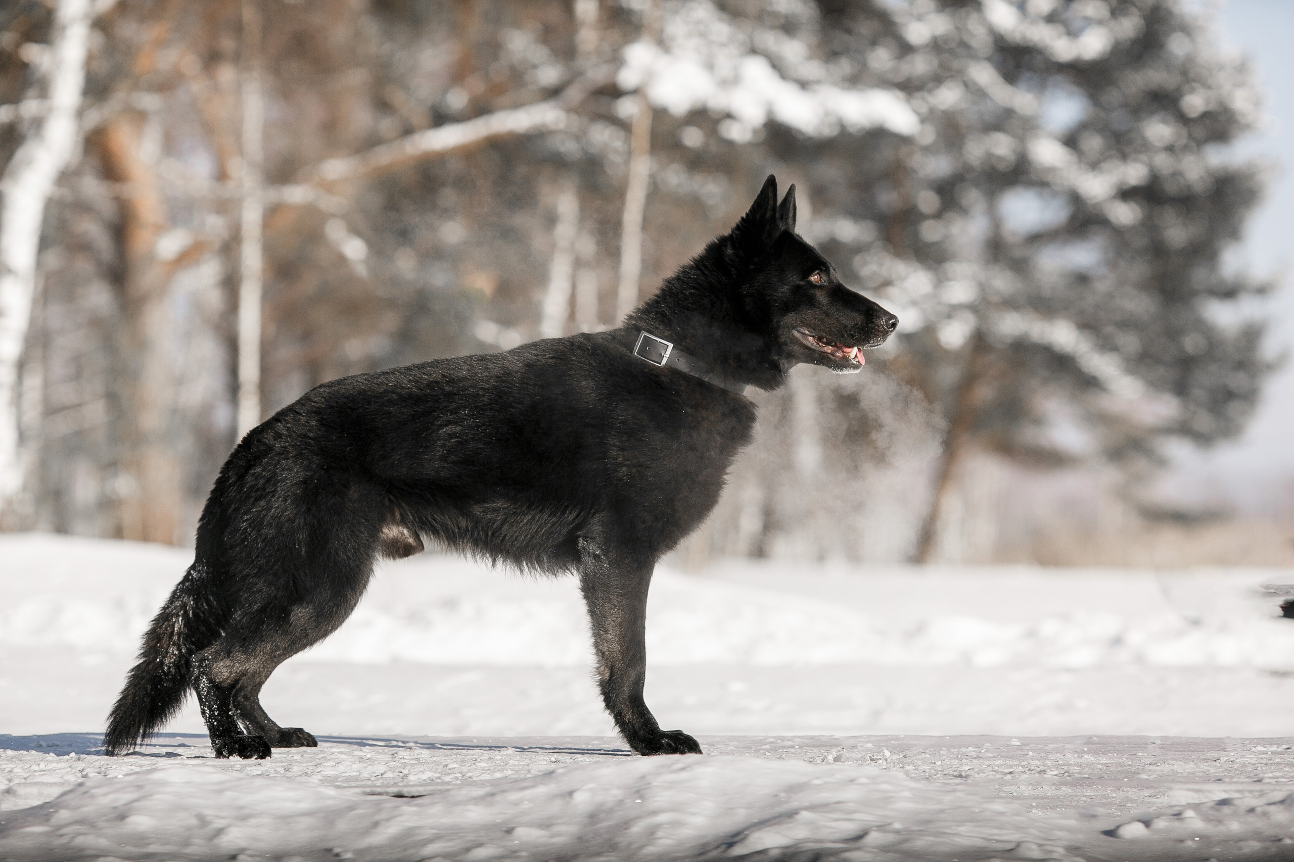 Репортажный фотограф Борис Геер
