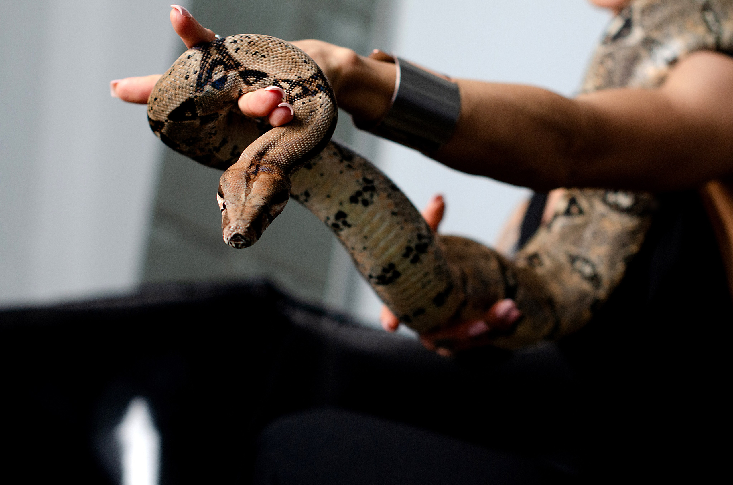 Воркшоп со змее́й. Фотограф в Хабаровске