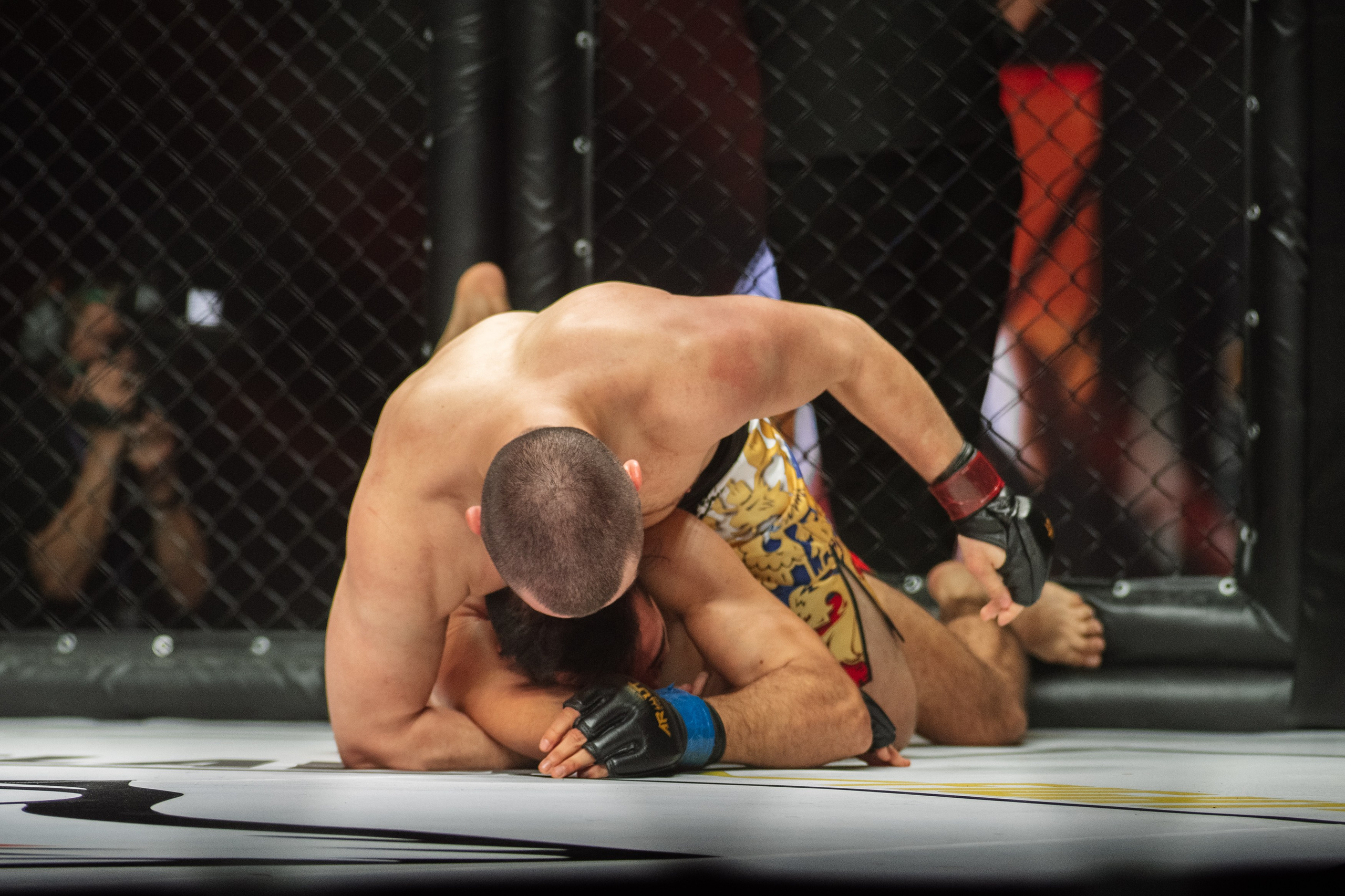 Miroslava Fight