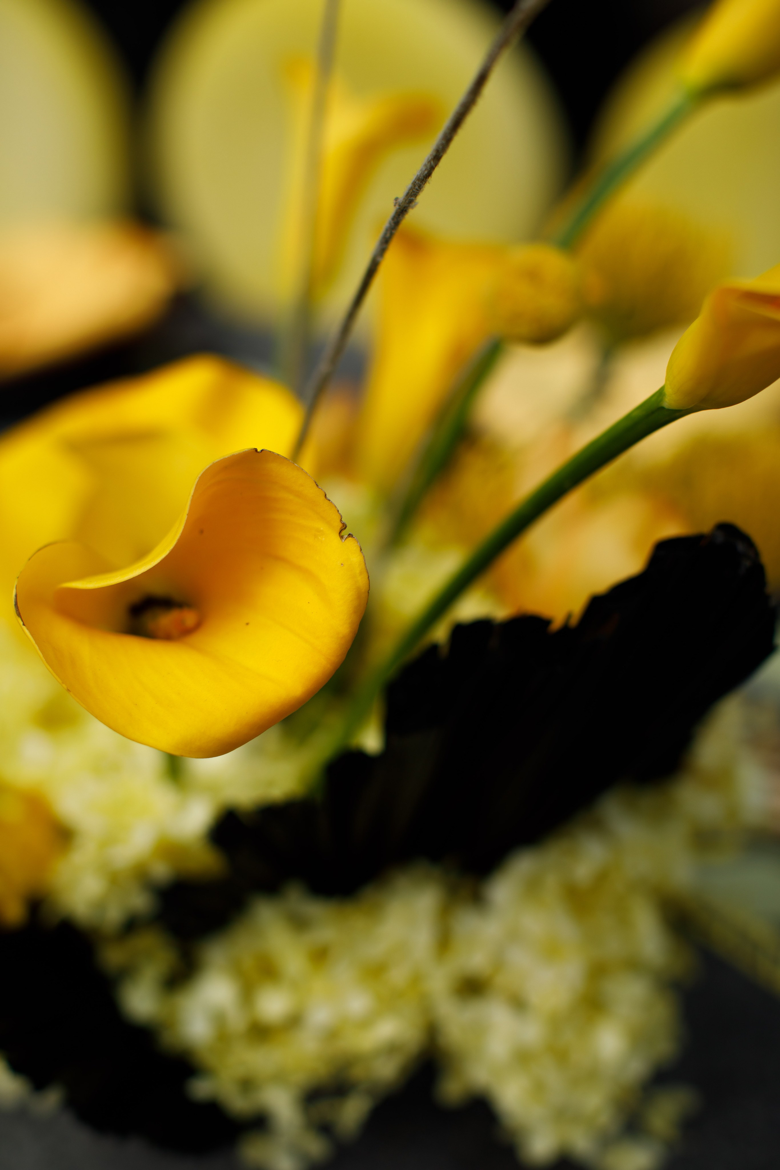 Разрушители | 18.08.2025 | г. Москва. МашаШарики | Декоратор | Москва