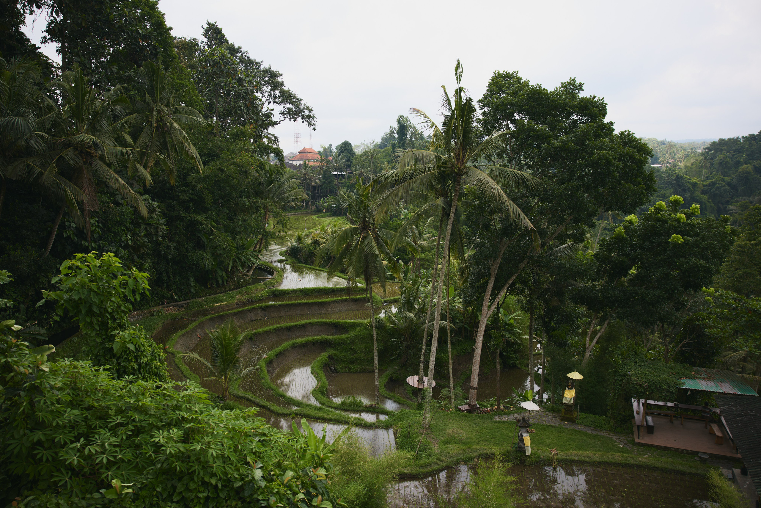 Бали. Ретрит «Love is in the air»Март 2025 Фото. Профессиональный фотограф Татьяна Евглевская