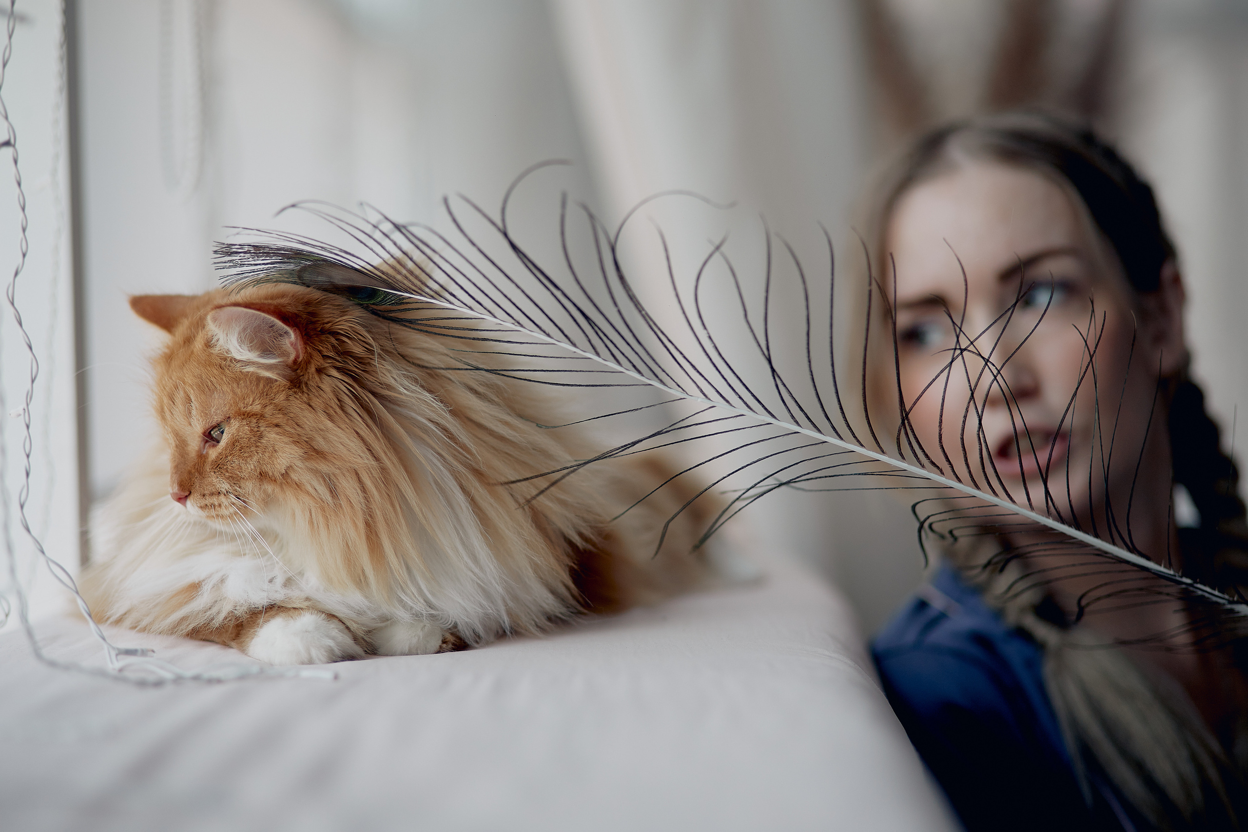 Пушистая фотосессия :). Свадебный и семейный фотограф Алексей Сафонов