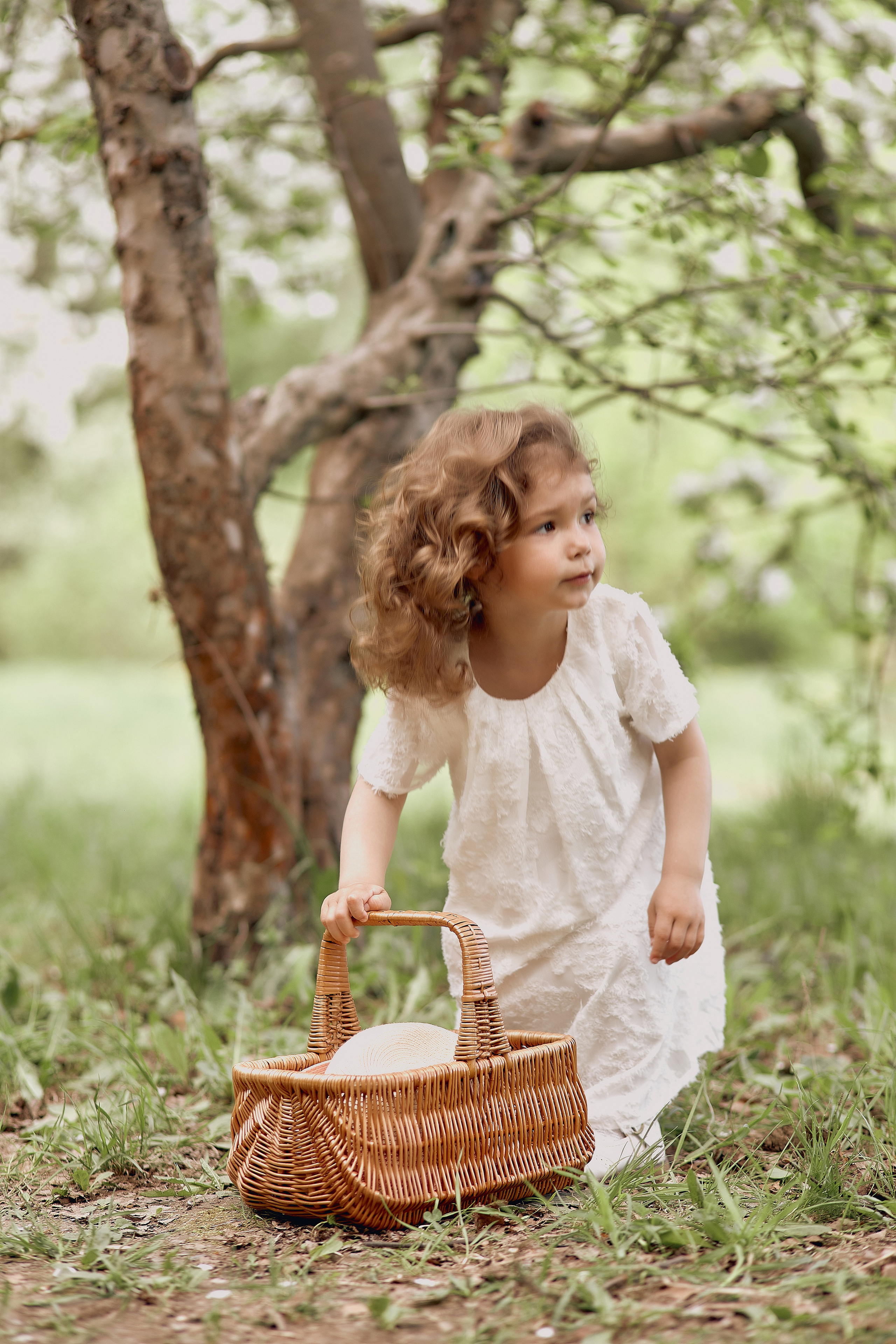 Прогулка в вишневом лесу. Свадебный и семейный фотограф Алексей Сафонов