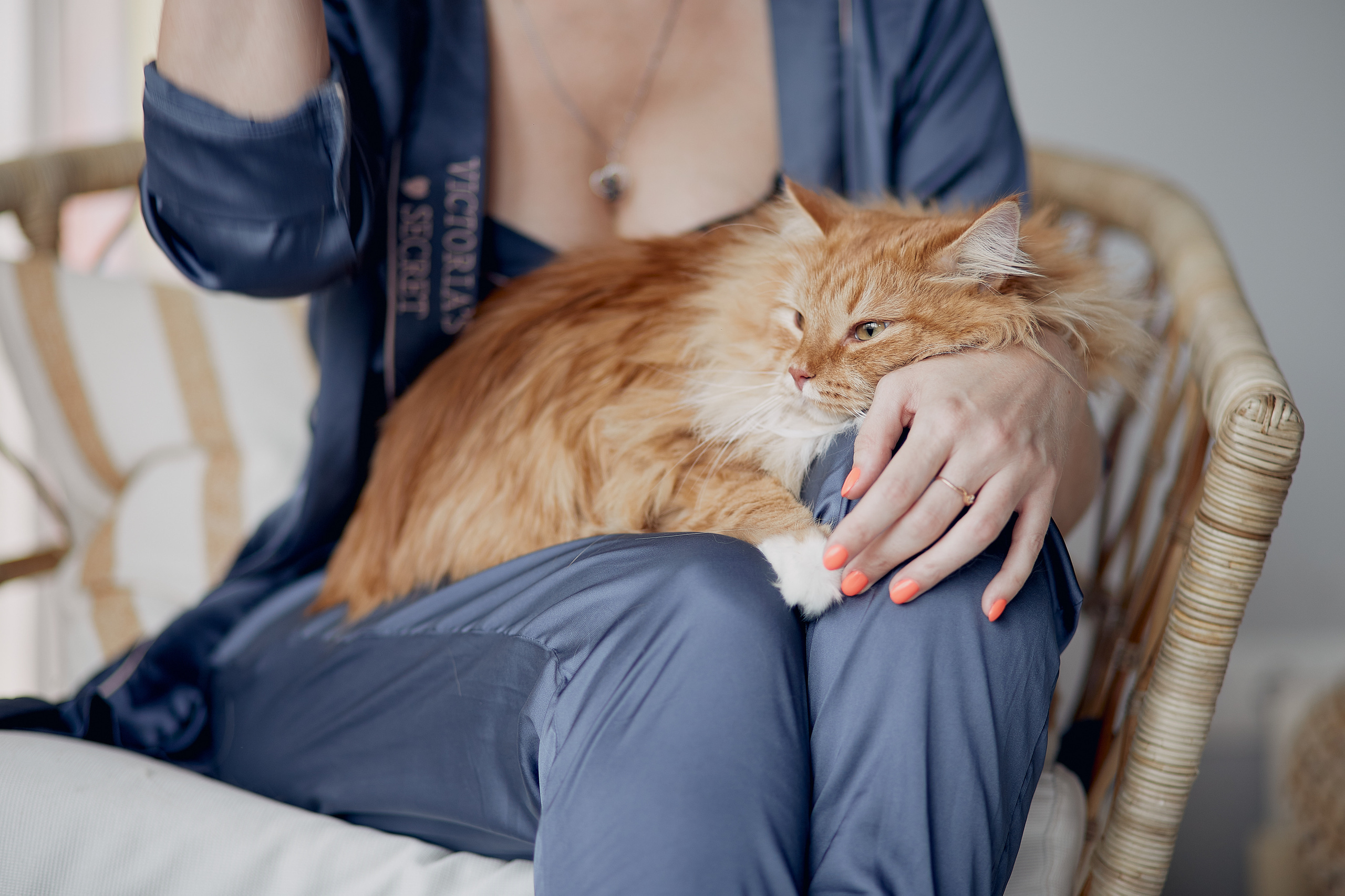 Пушистая фотосессия :). Свадебный и семейный фотограф Алексей Сафонов