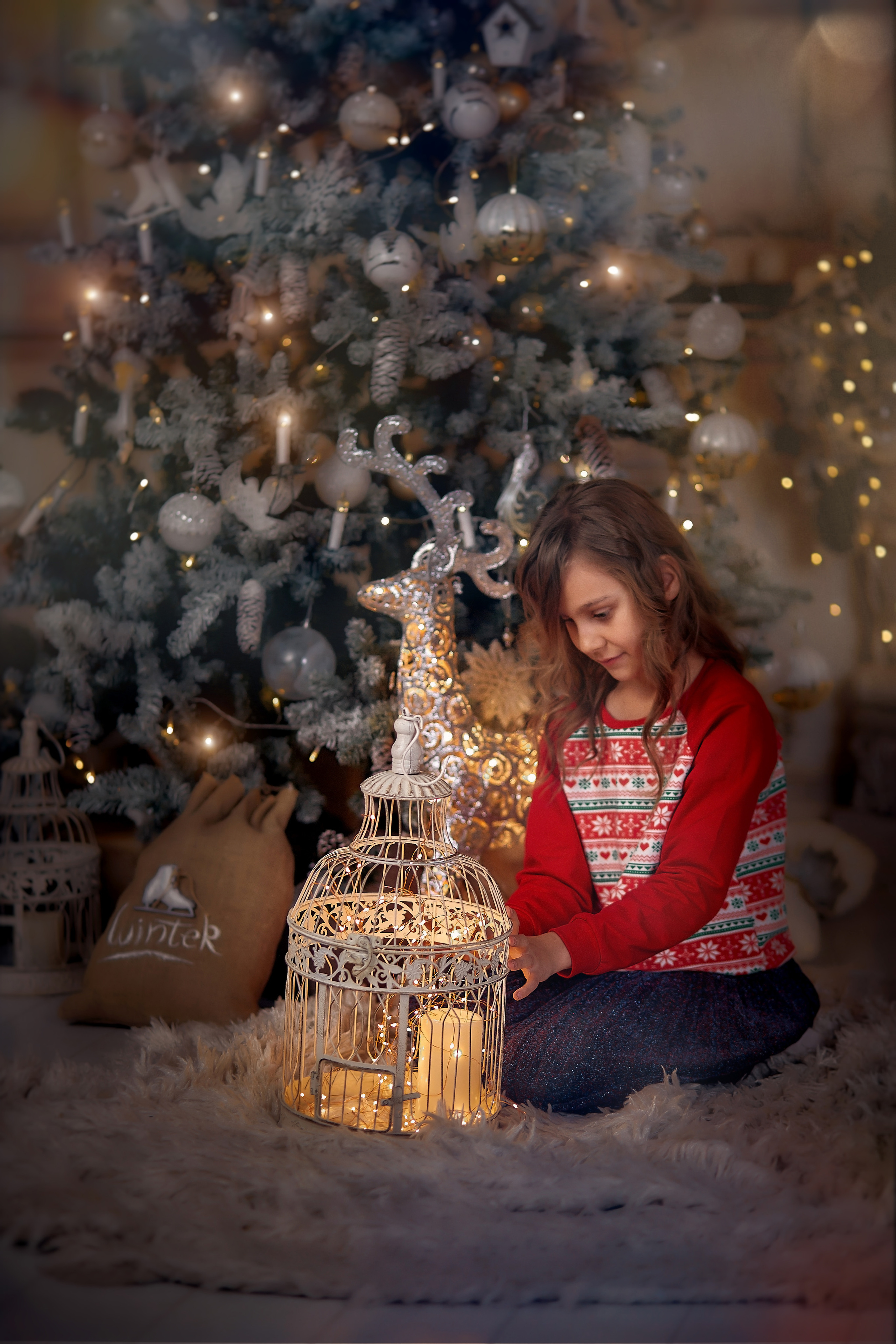 Новогодняя сказка для всей семьи. Свадебный и семейный фотограф Алексей Сафонов