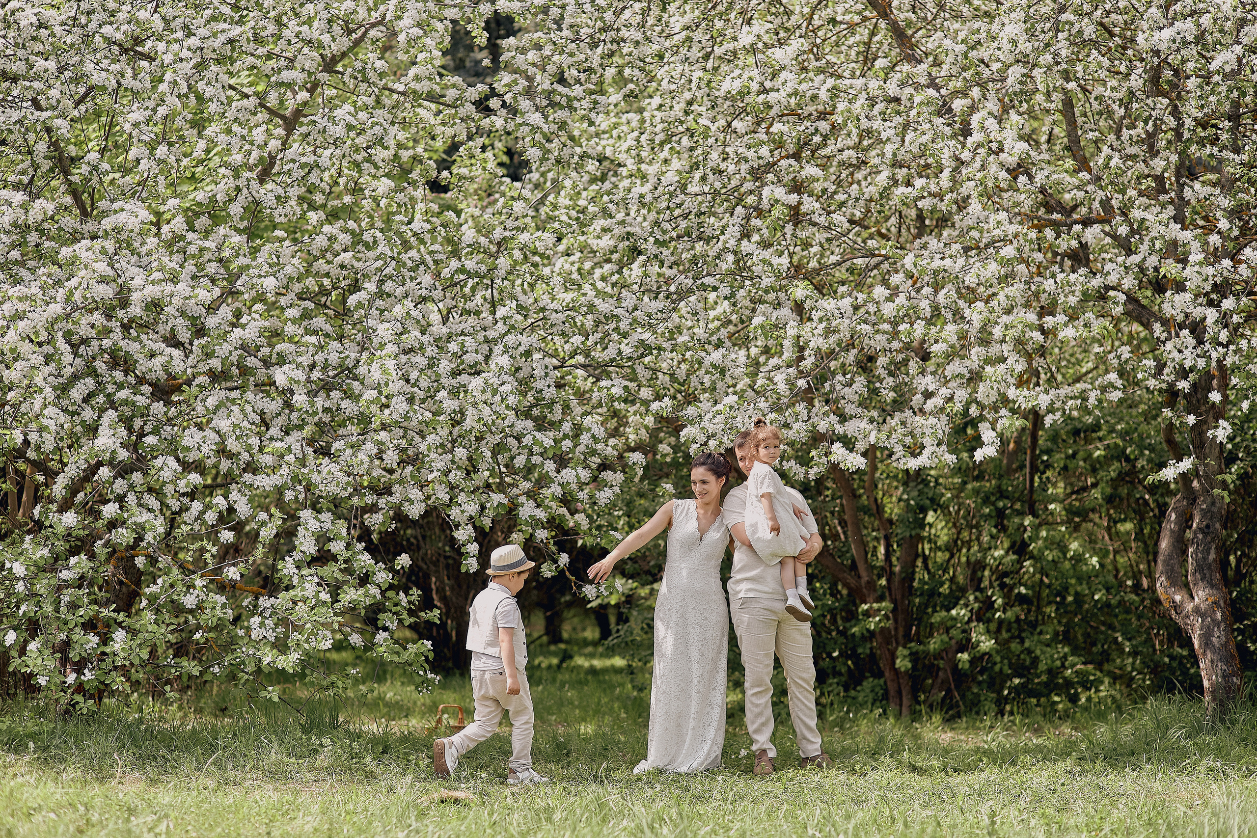 Прогулка в вишневом лесу. Свадебный и семейный фотограф Алексей Сафонов
