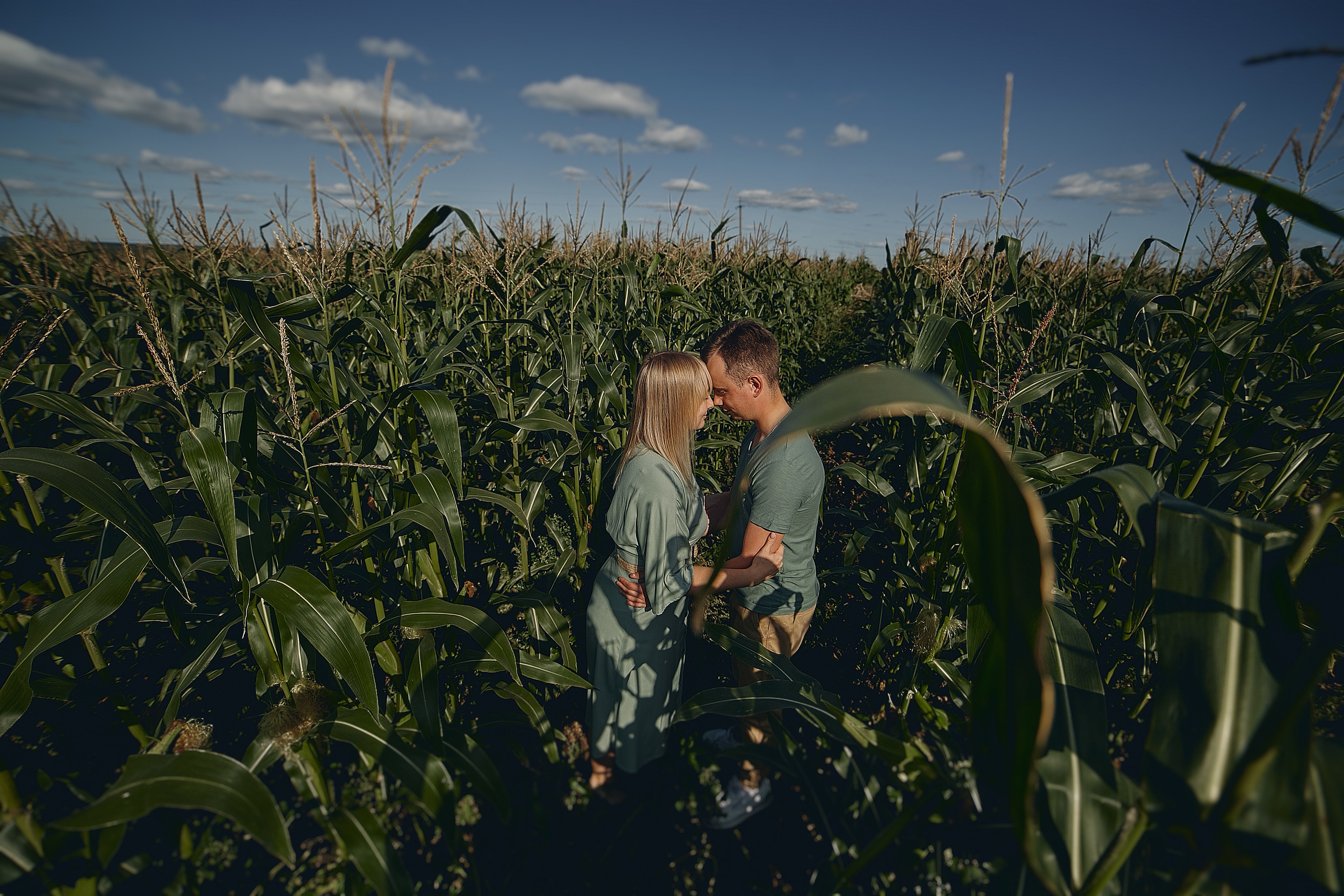 Кукурузная романтика. Свадебный и семейный фотограф Алексей Сафонов