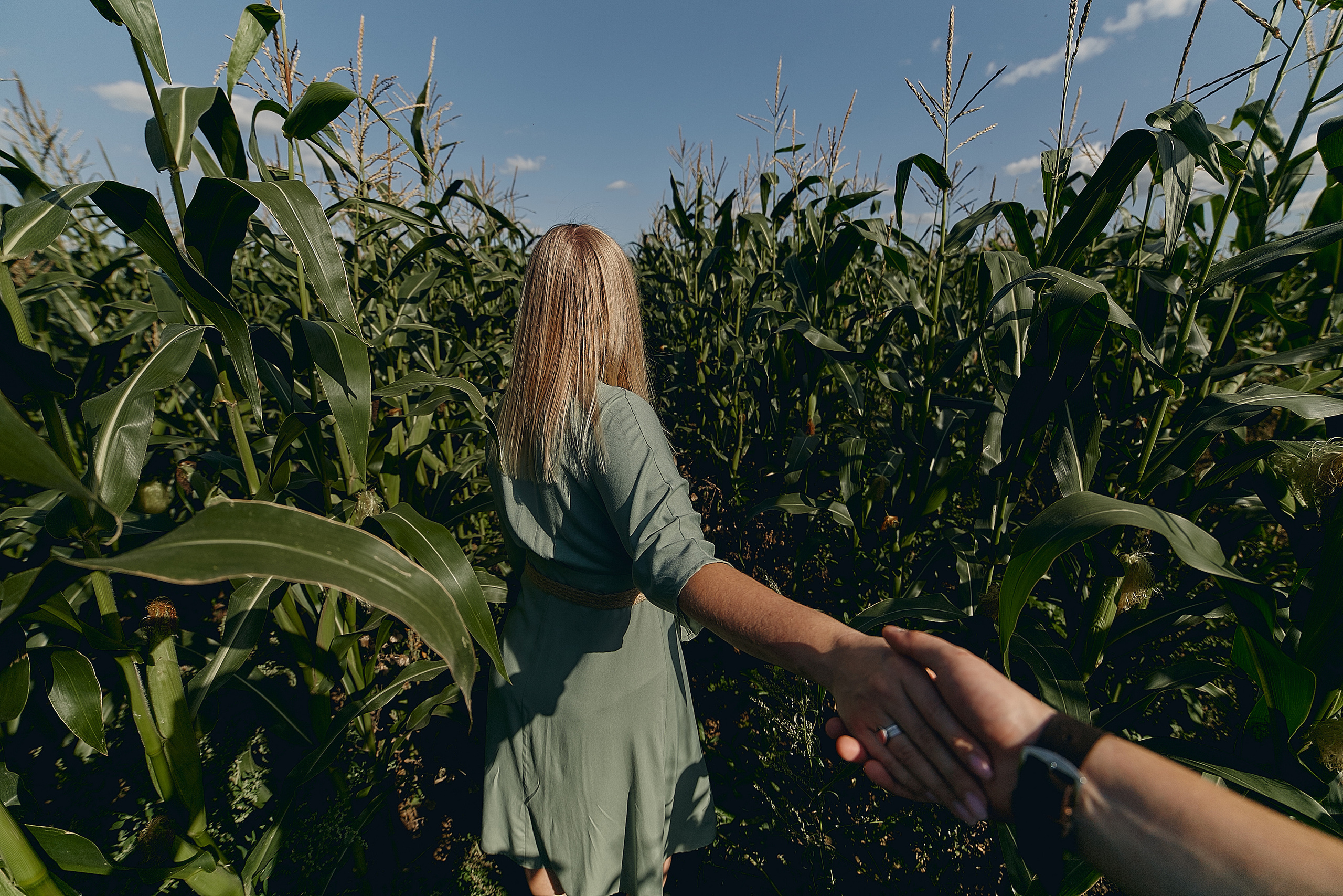 Кукурузная романтика. Свадебный и семейный фотограф Алексей Сафонов