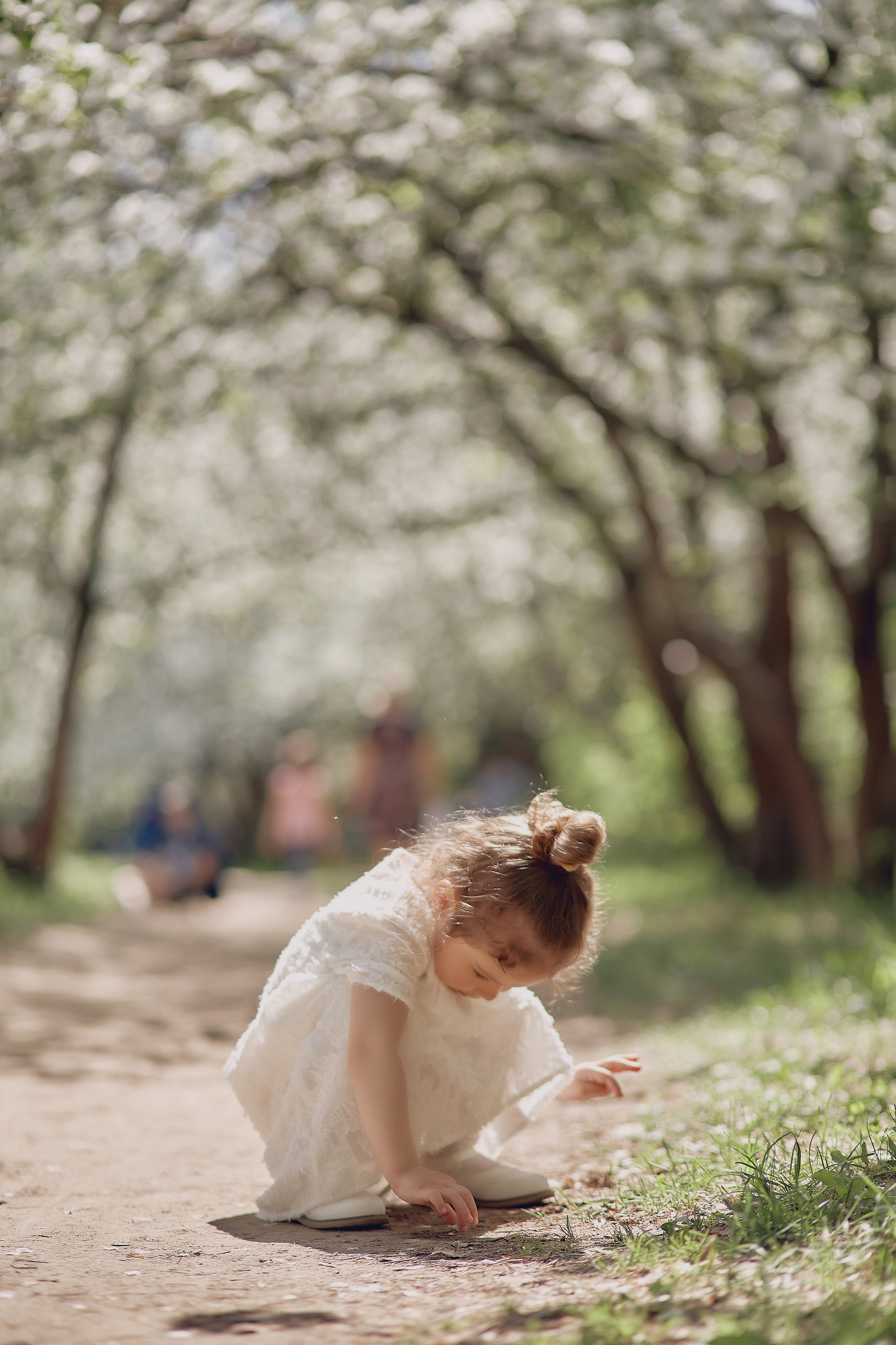 Прогулка в вишневом лесу. Свадебный и семейный фотограф Алексей Сафонов