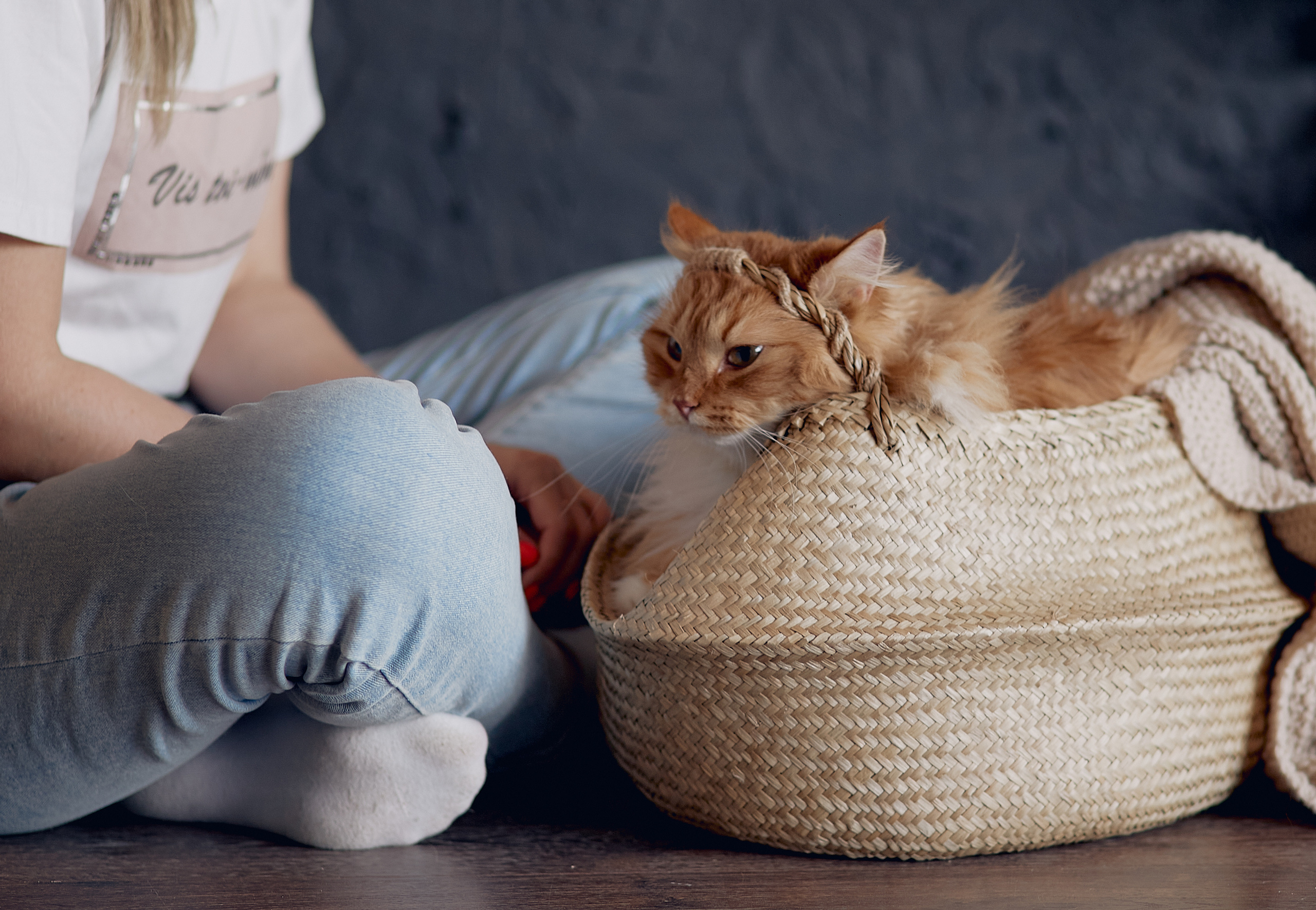 Пушистая фотосессия :). Свадебный и семейный фотограф Алексей Сафонов