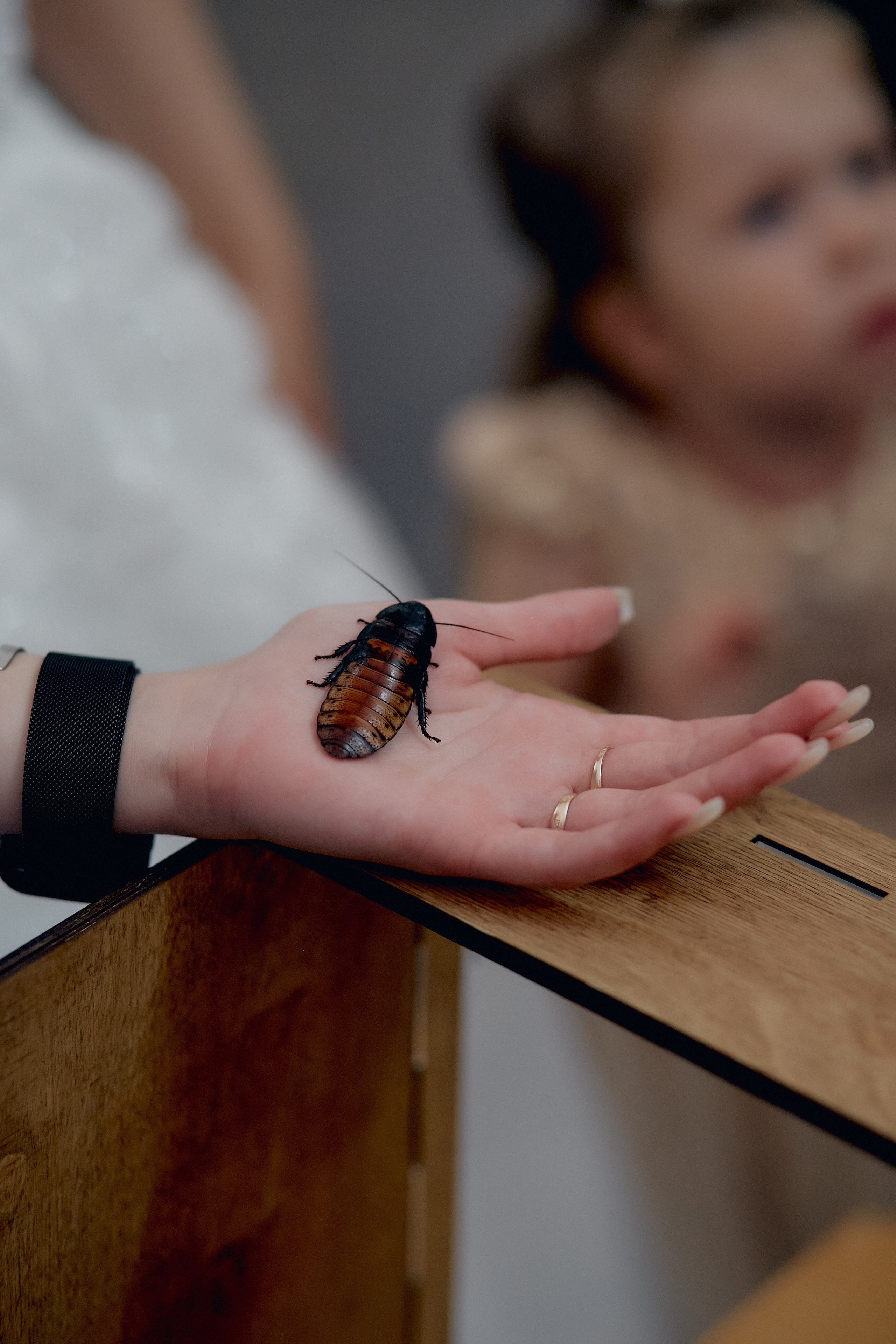 Жаркий день с Дмитрием и Юлией. Свадебный и семейный фотограф Алексей Сафонов