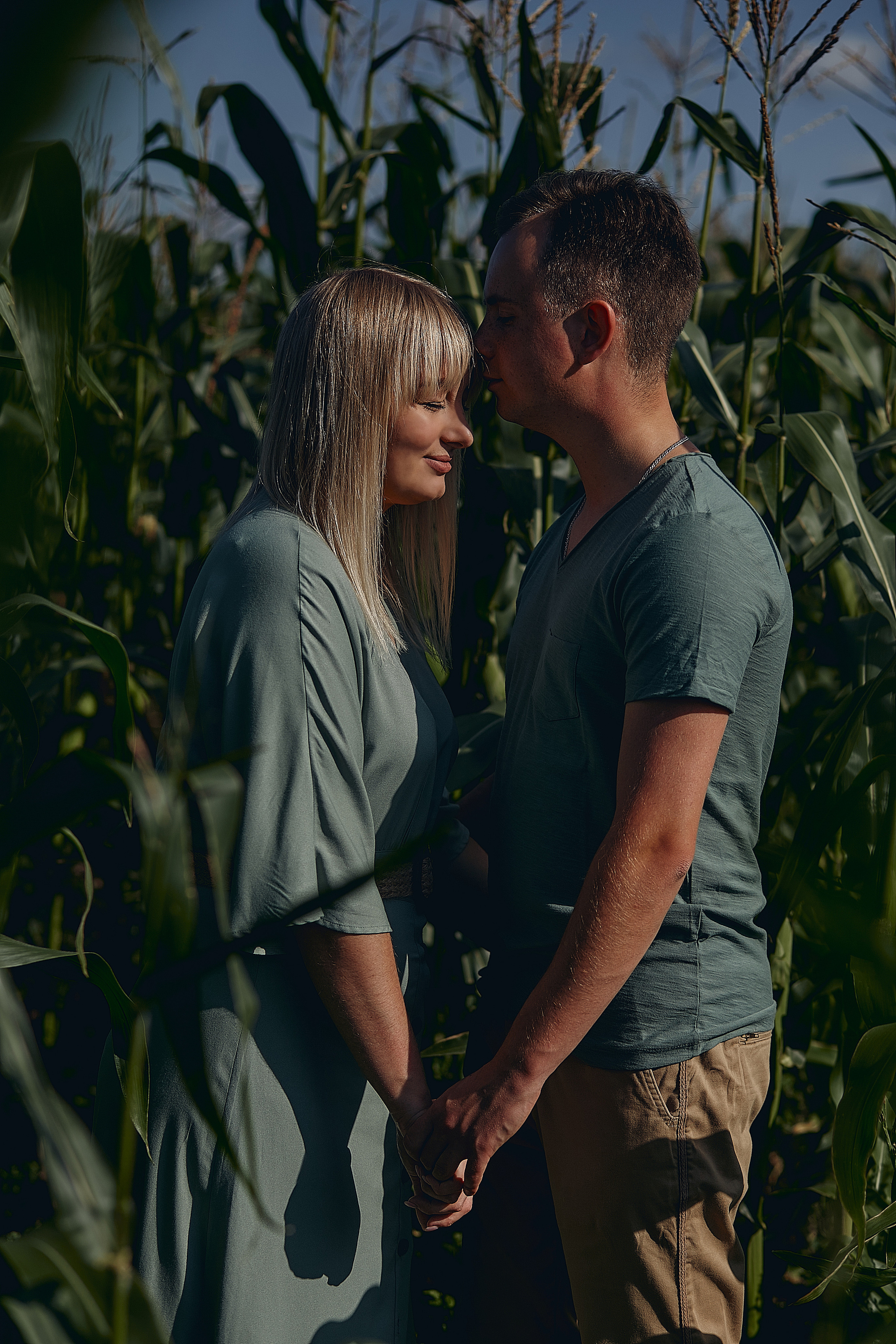Кукурузная романтика. Свадебный и семейный фотограф Алексей Сафонов