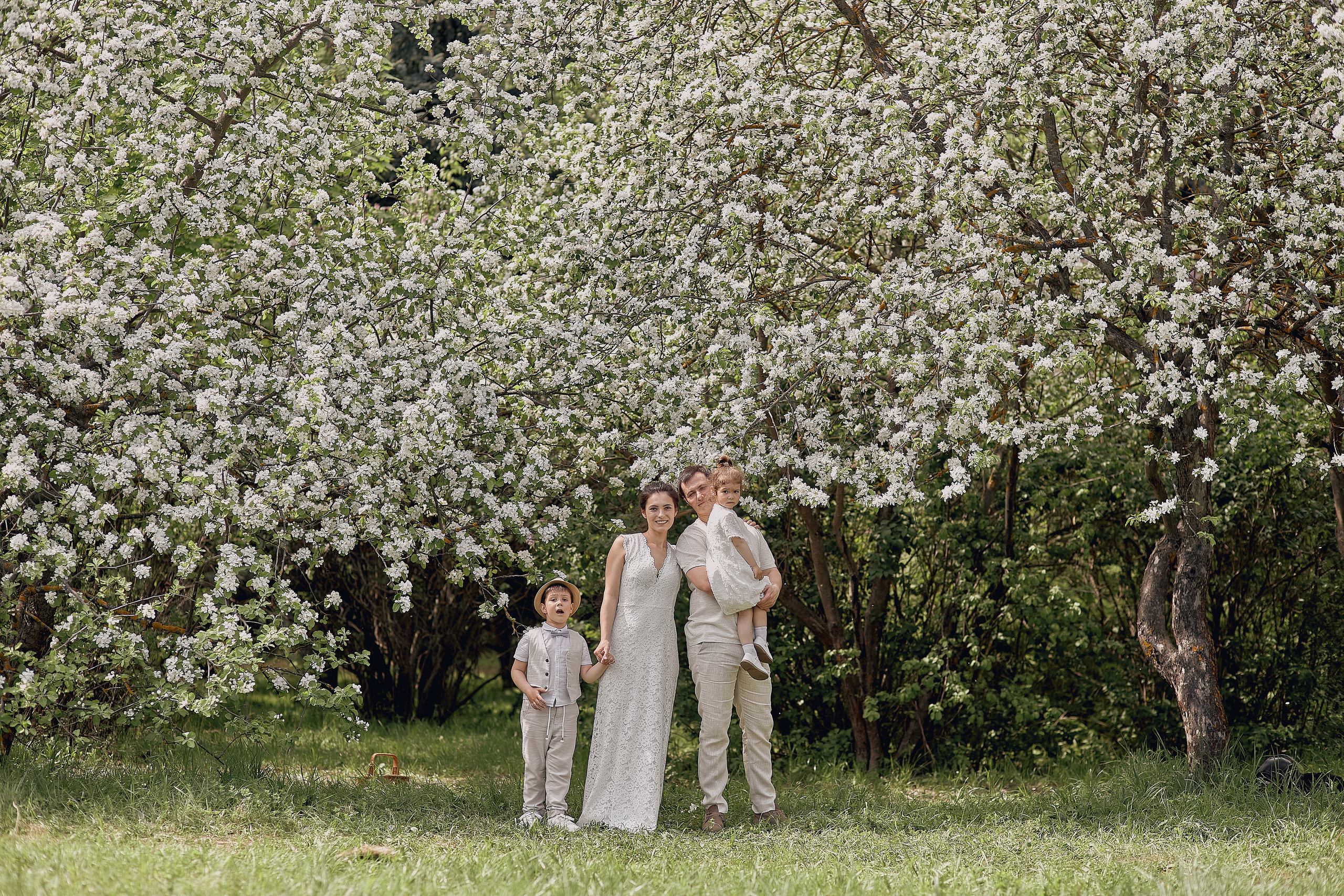 Прогулка в вишневом лесу. Свадебный и семейный фотограф Алексей Сафонов