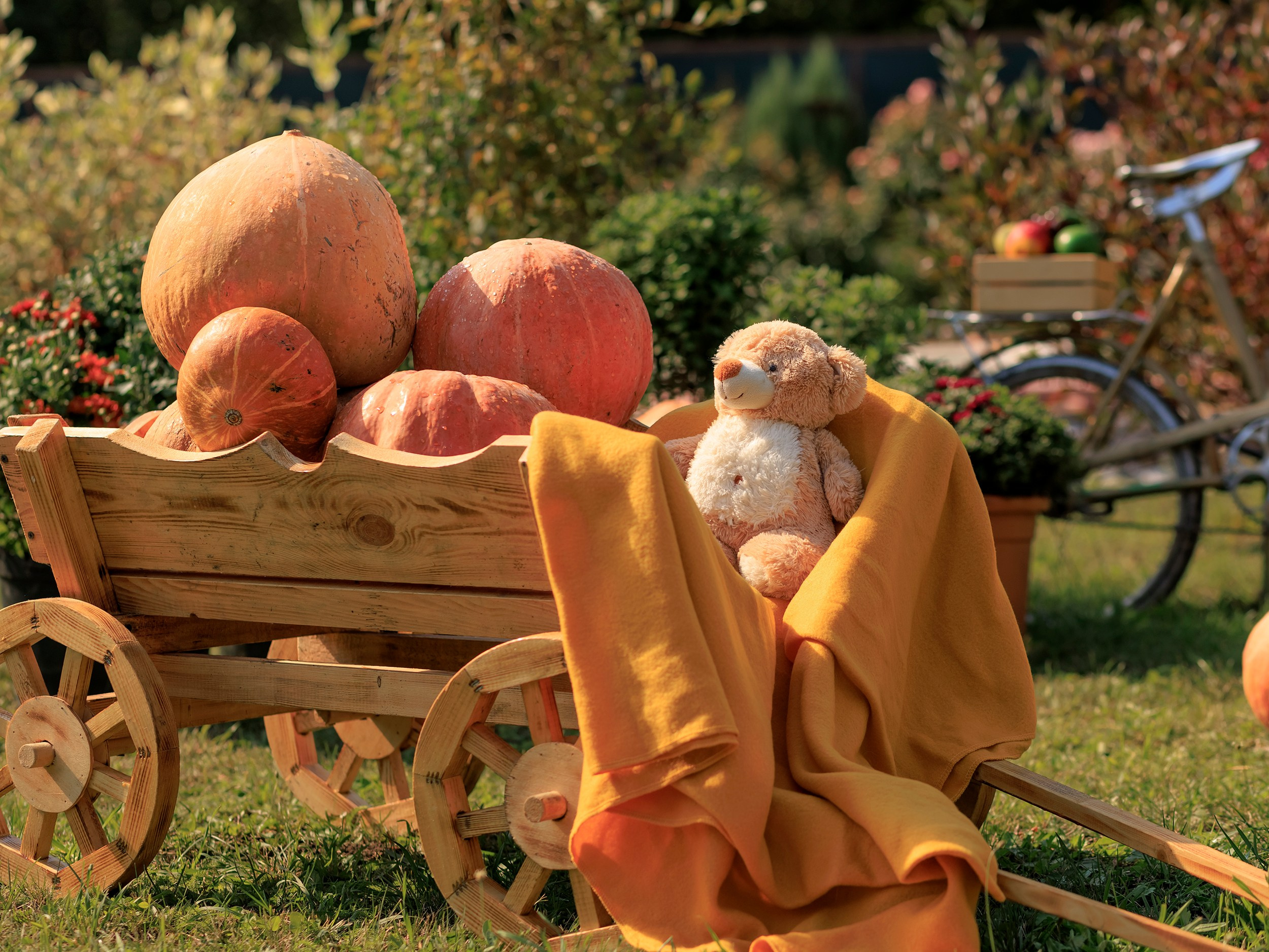 Парк-заповедник Купидон. Семейный фотограф в Димитровграде Елена Патрушева